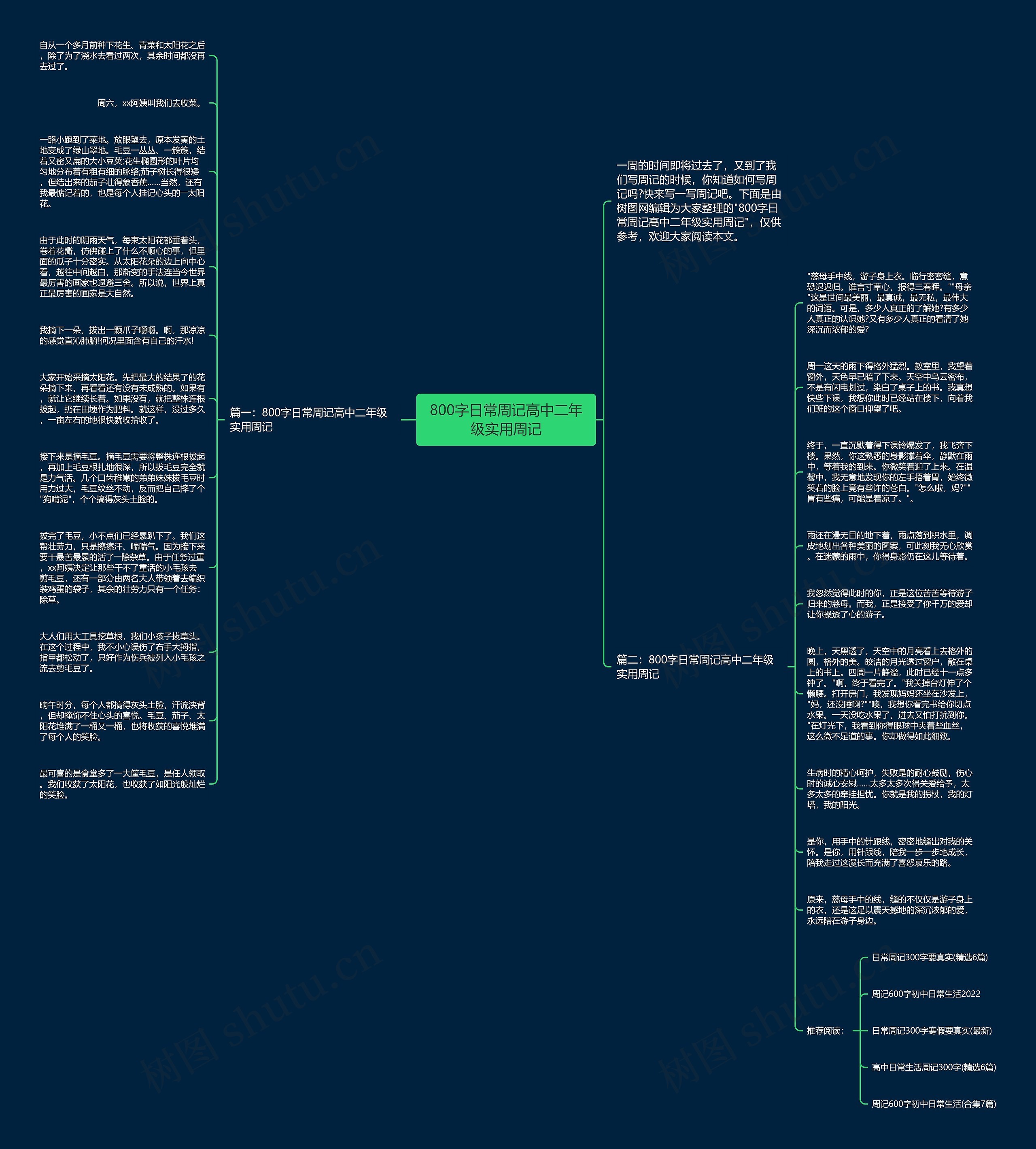 800字日常周记高中二年级实用周记思维导图