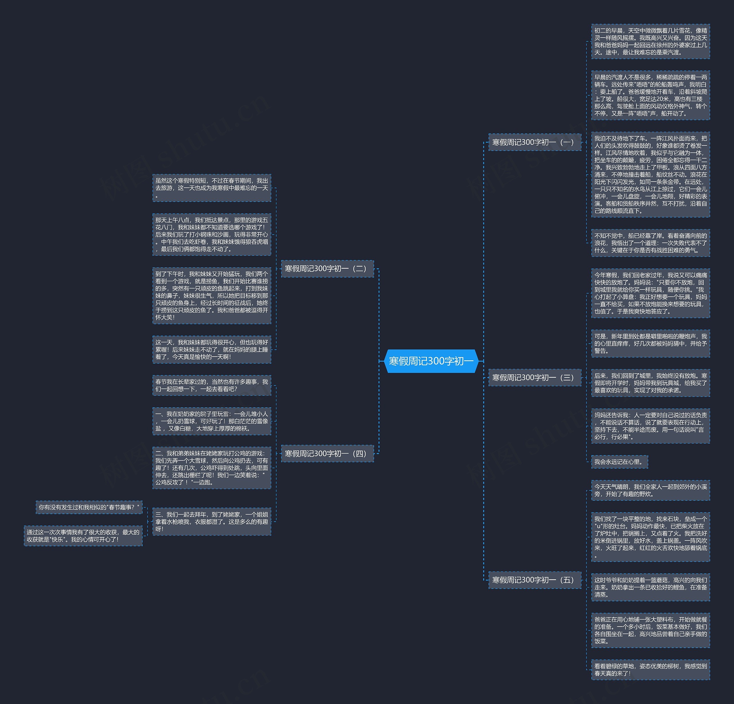 寒假周记300字初一思维导图