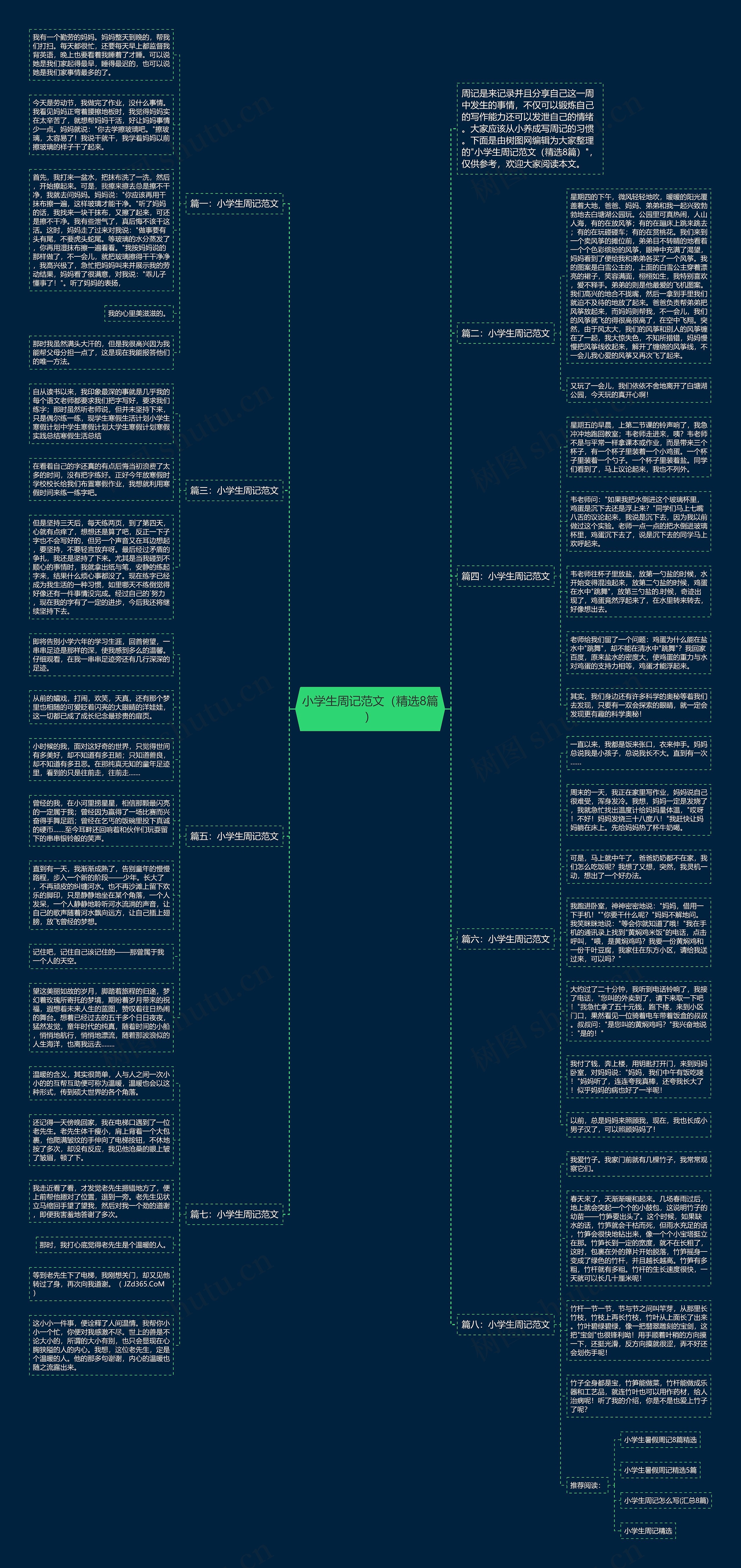小学生周记范文（精选8篇）思维导图