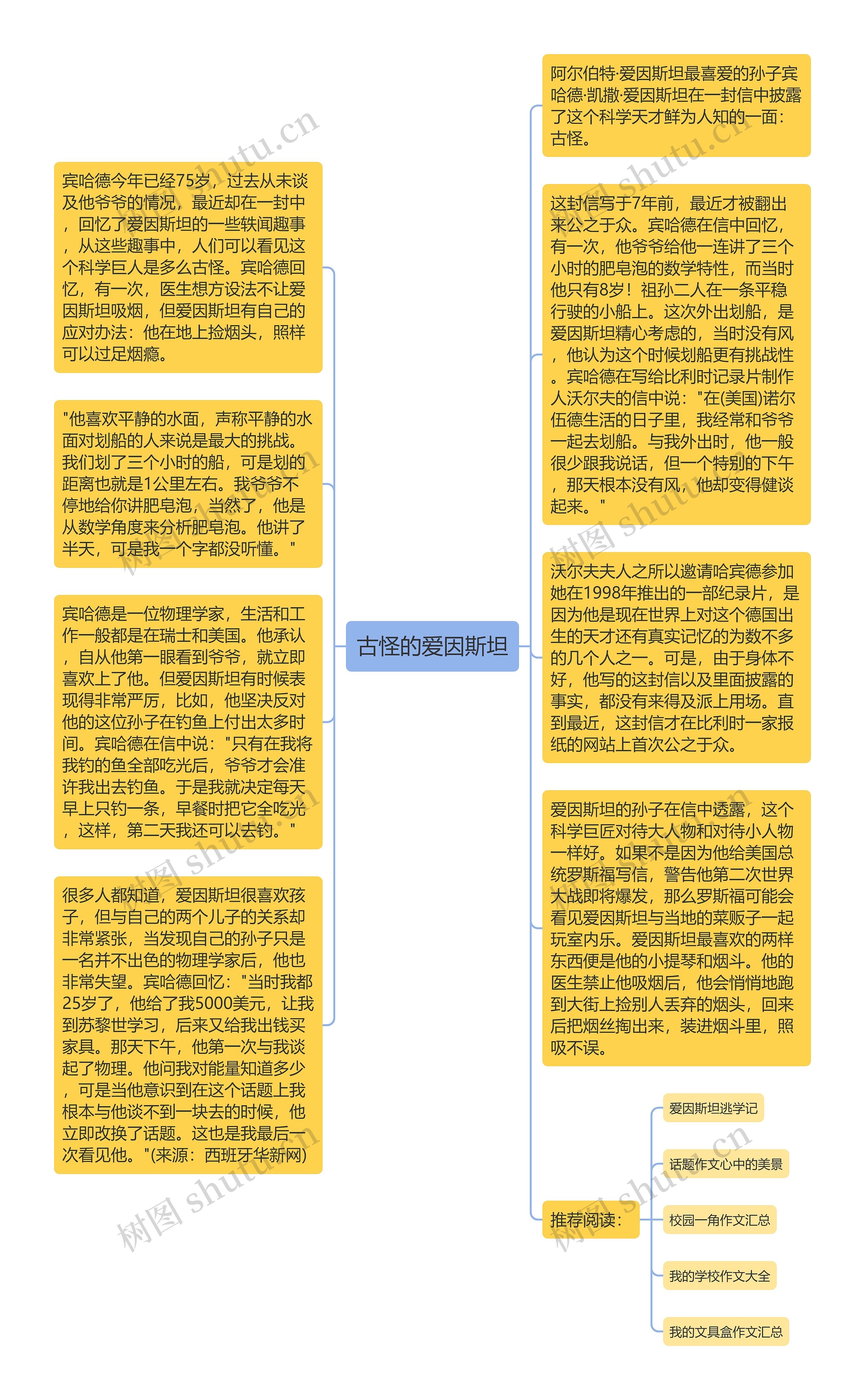 古怪的爱因斯坦思维导图