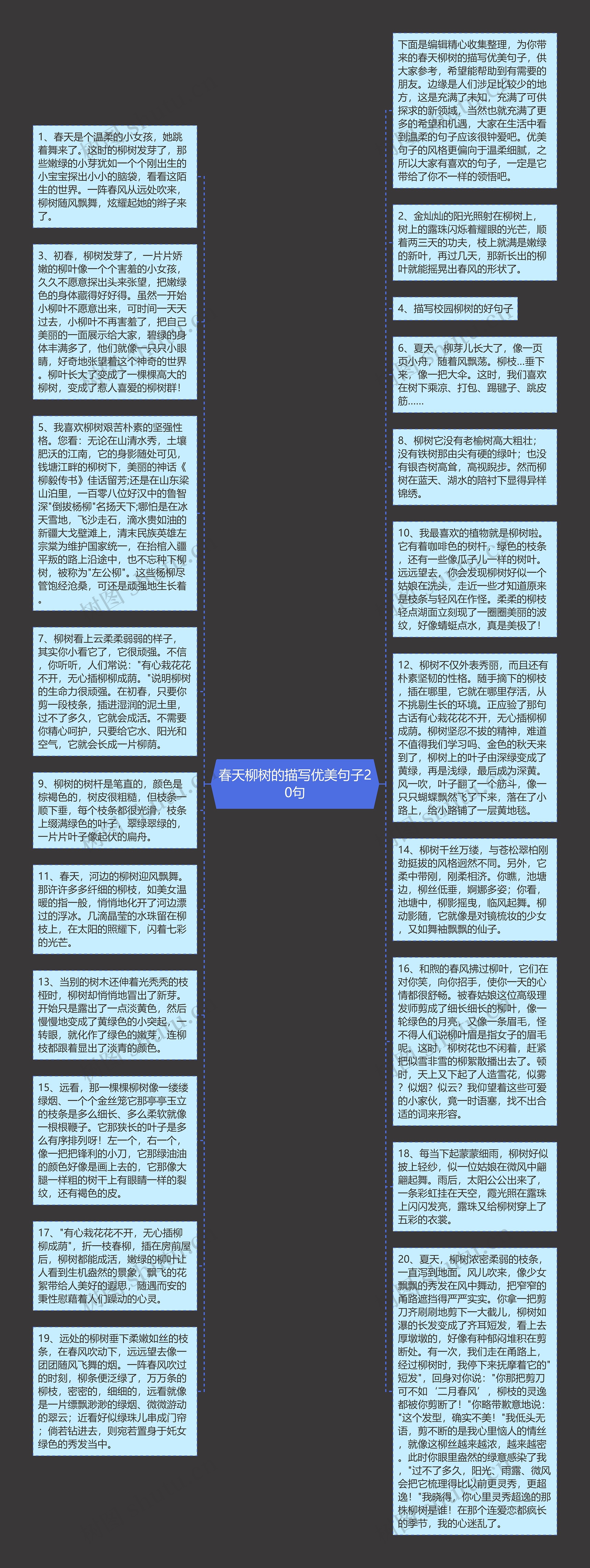 春天柳树的描写优美句子20句思维导图