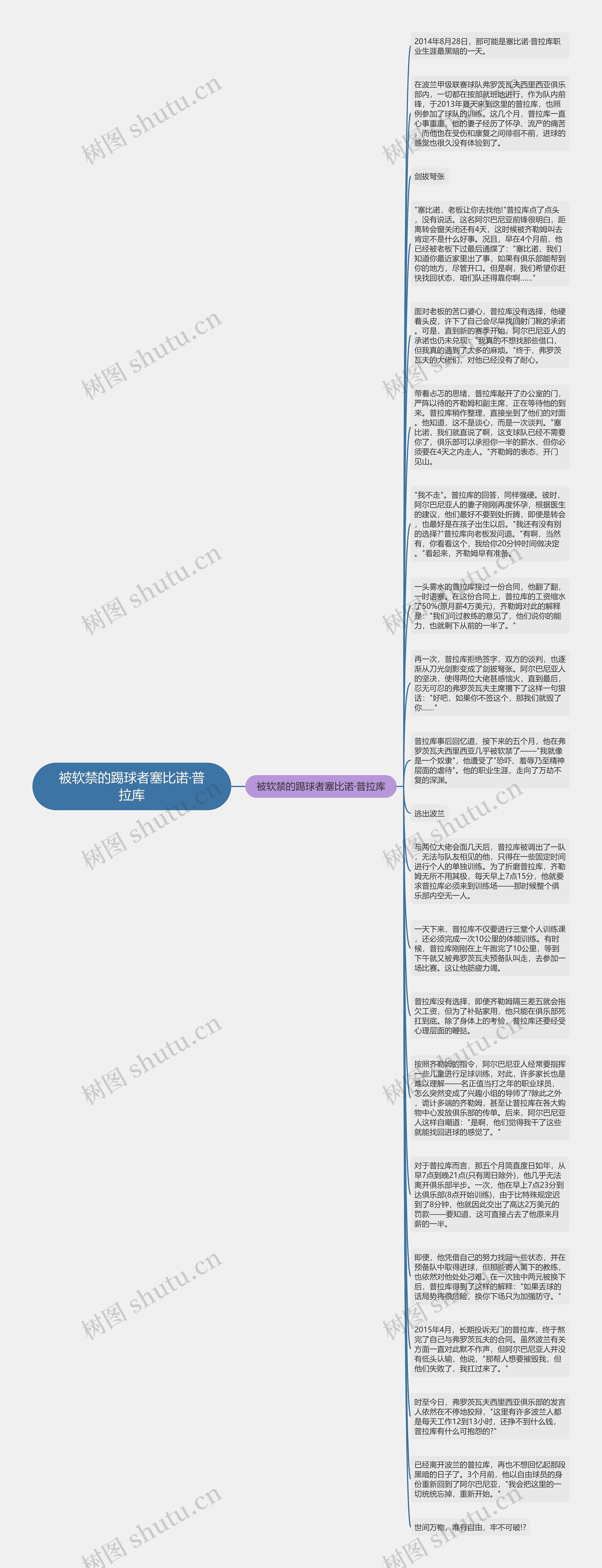 被软禁的踢球者塞比诺·普拉库思维导图