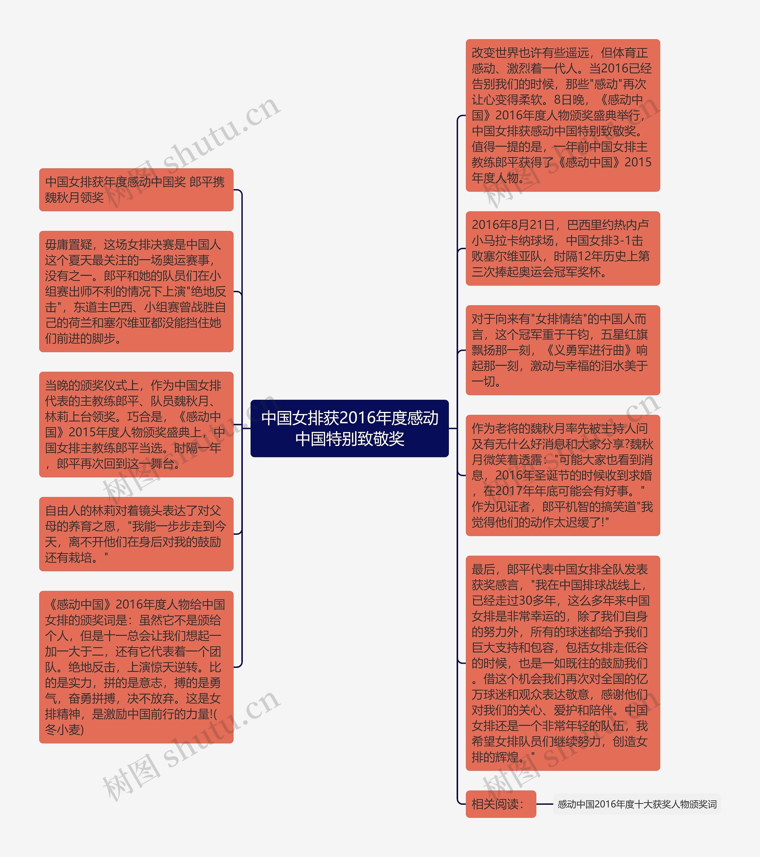 中国女排获2016年度感动中国特别致敬奖思维导图