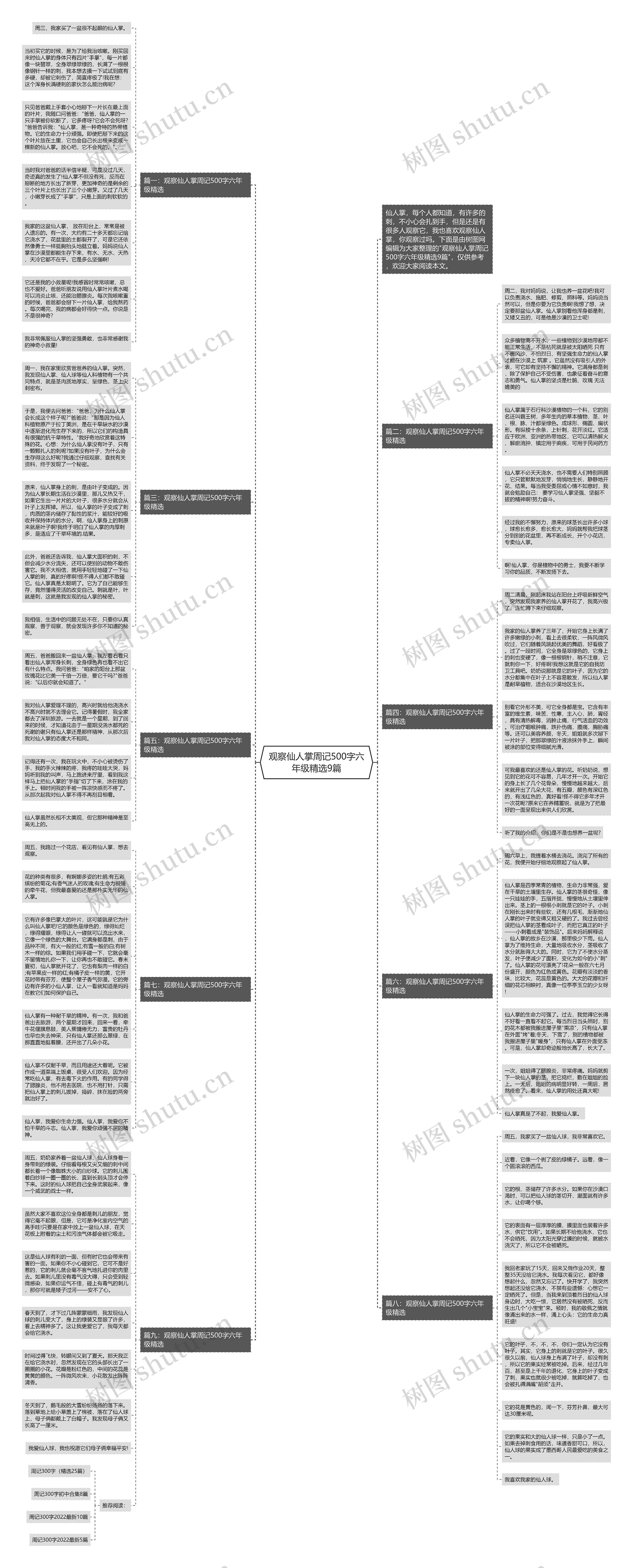 观察仙人掌周记500字六年级精选9篇思维导图