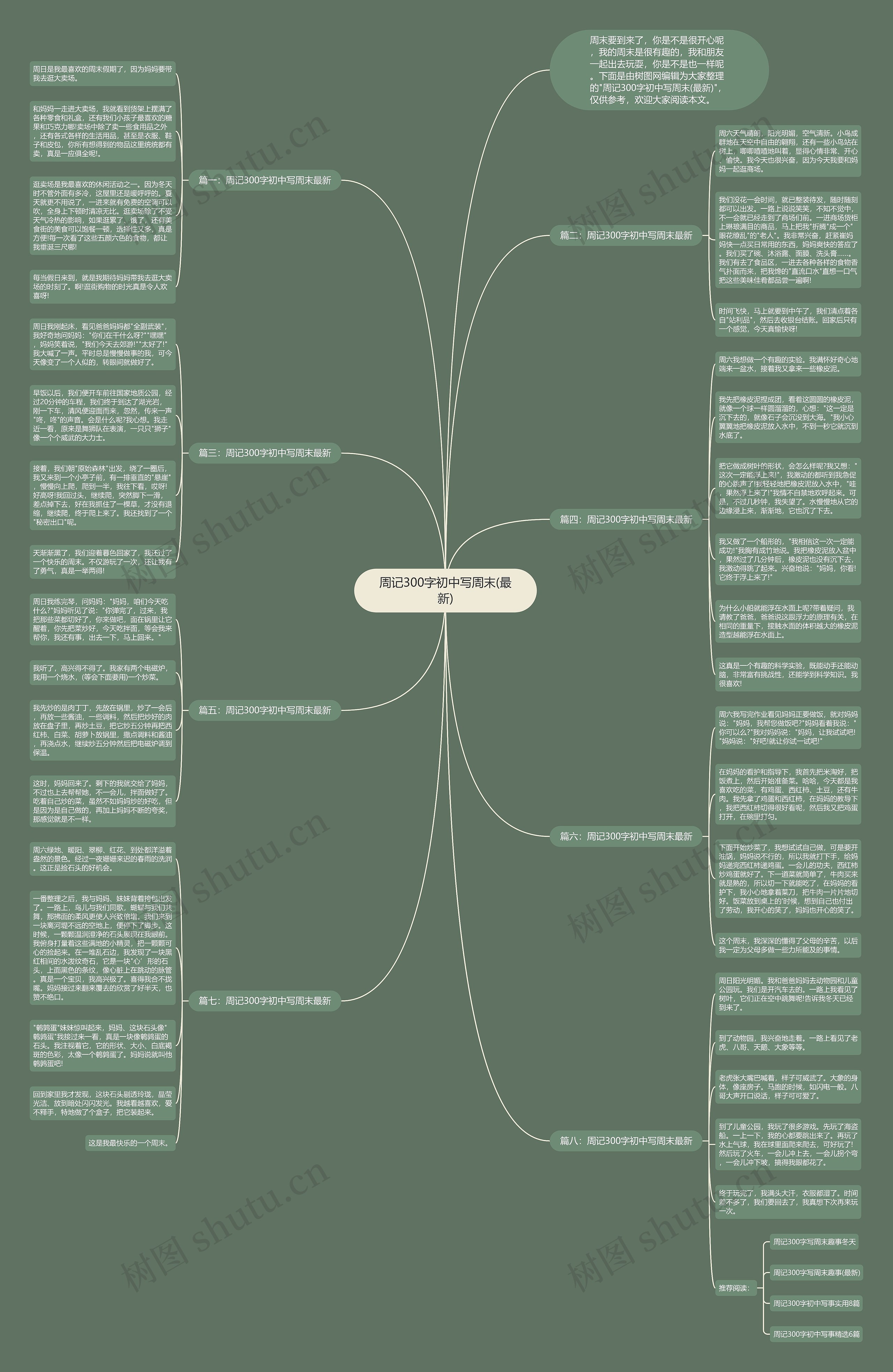 周记300字初中写周末(最新)思维导图