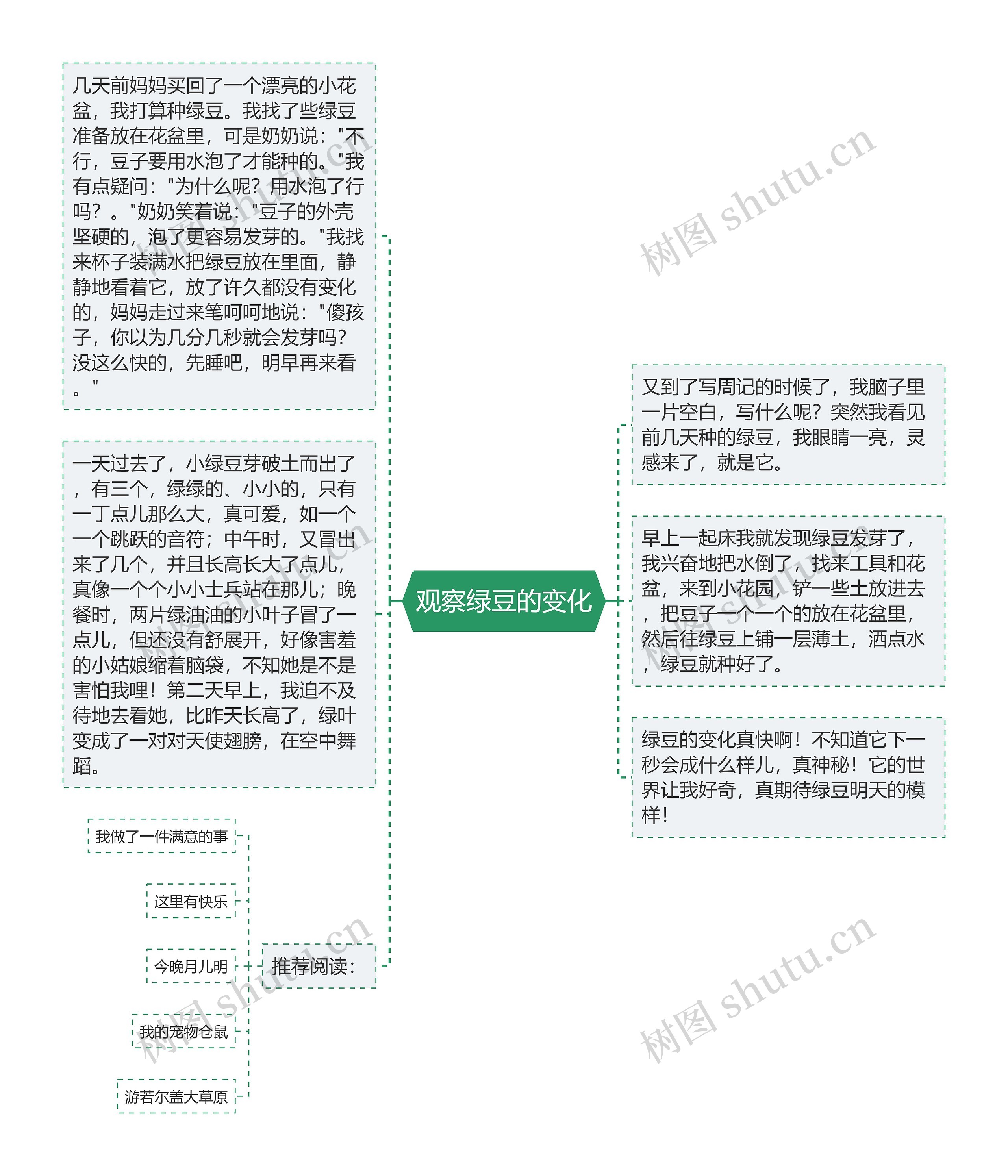 观察绿豆的变化