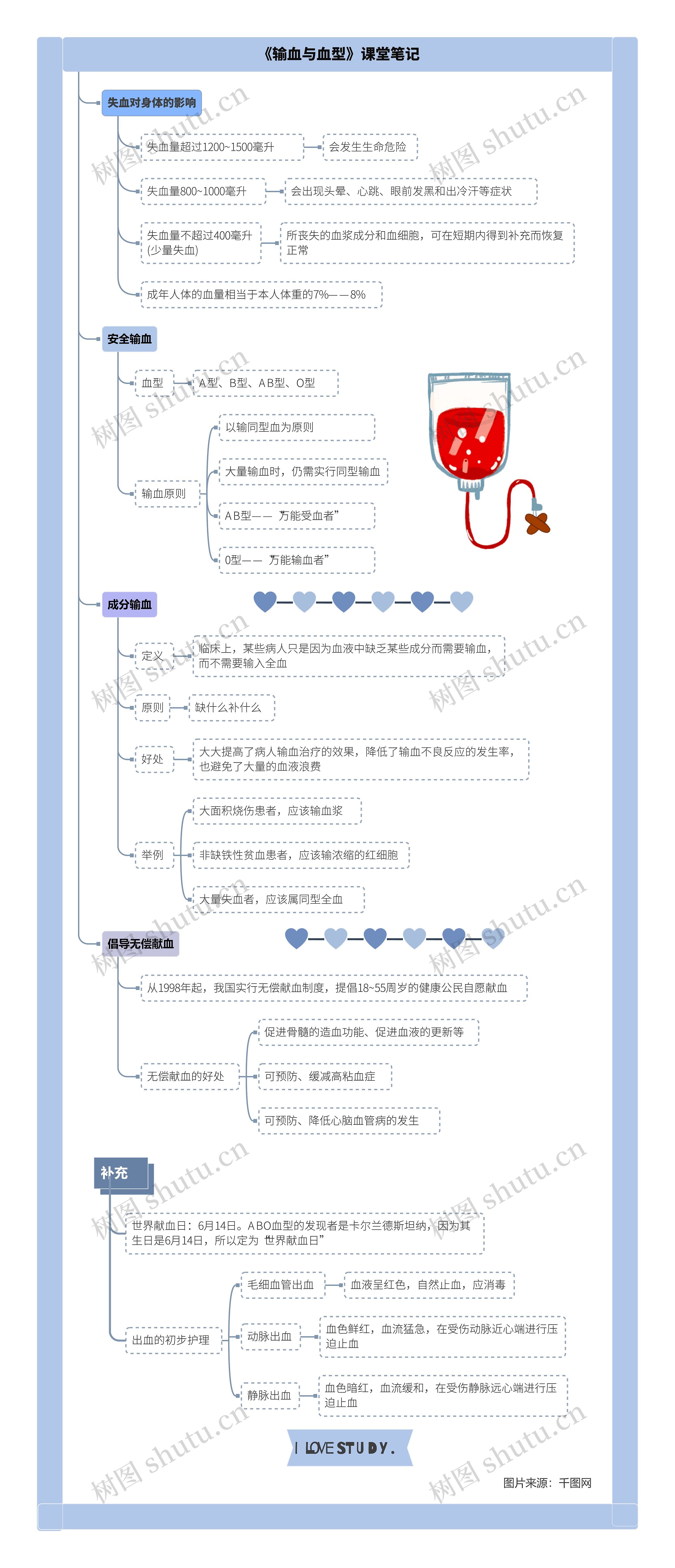 生物七年级下册第四章第四节《输血与血型》课堂笔记思维导图