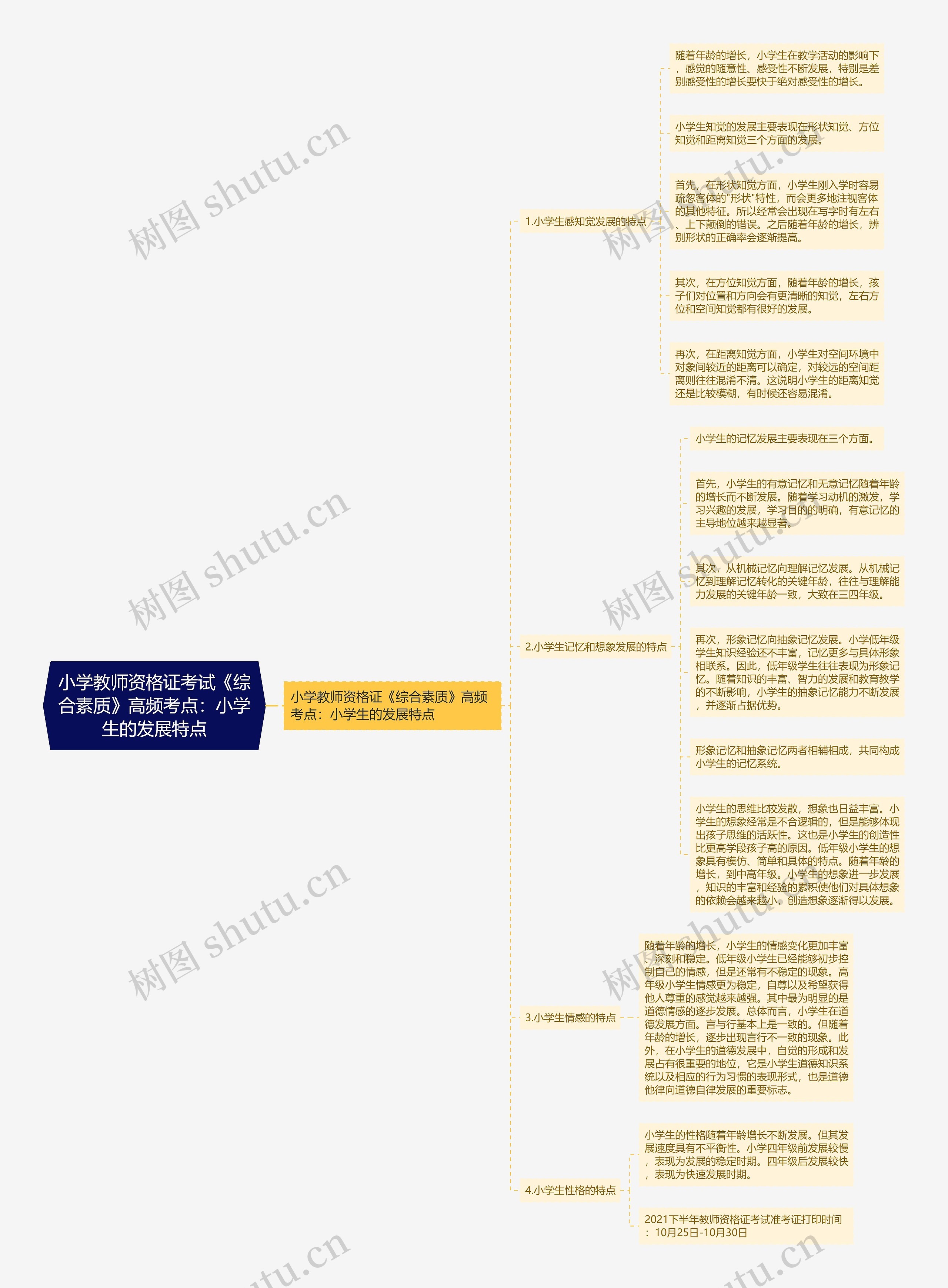 小学教师资格证考试《综合素质》高频考点：小学生的发展特点