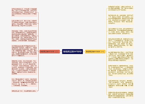 寒假周记高中700字