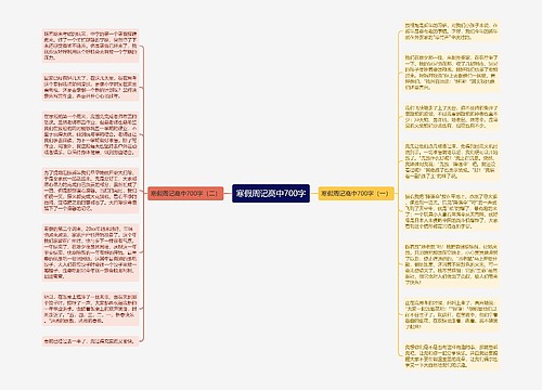 寒假周记高中700字