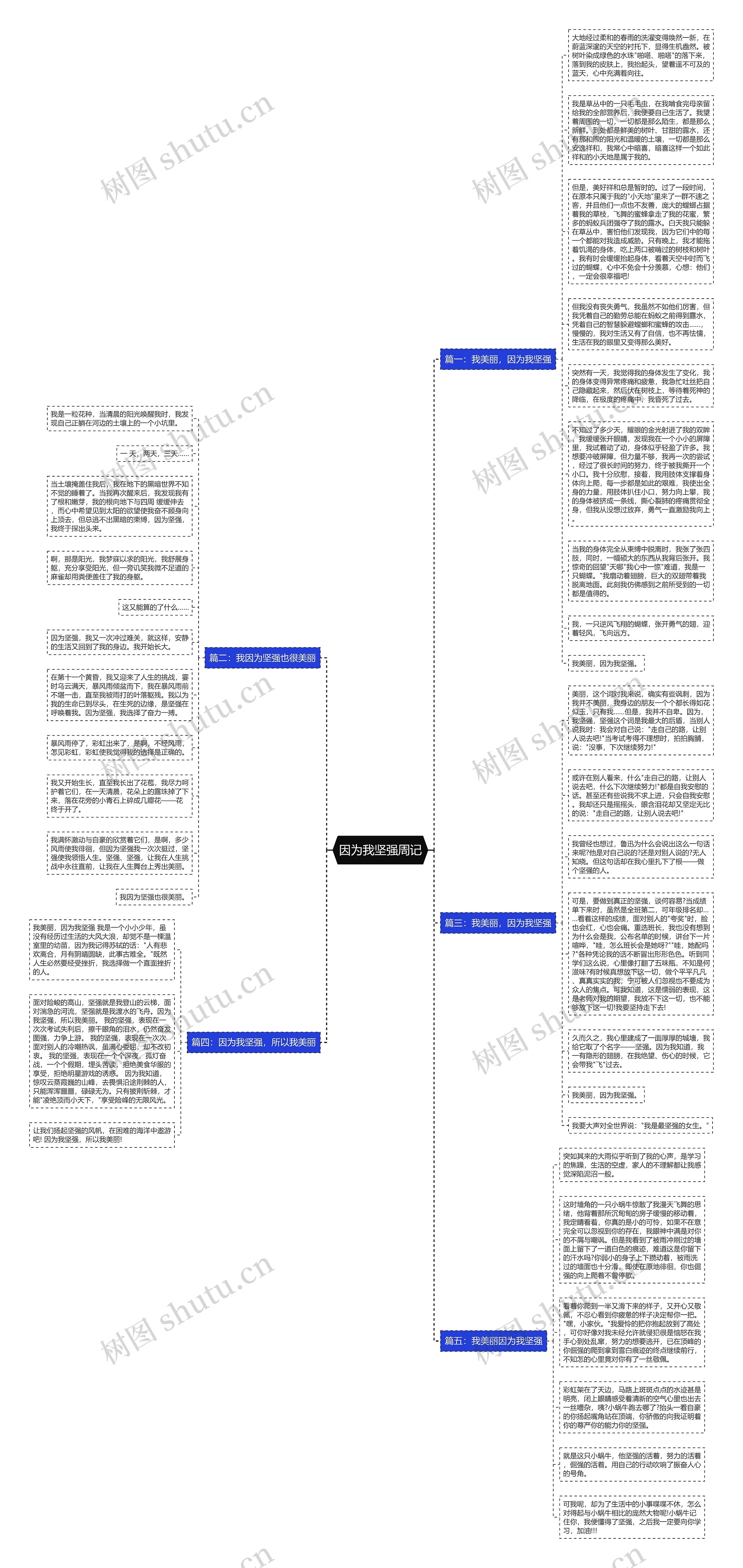 因为我坚强周记思维导图
