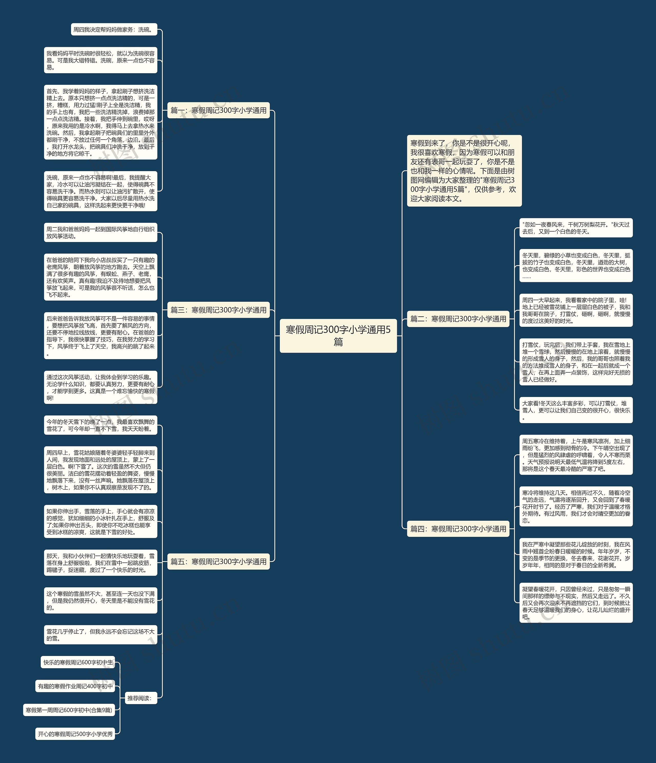 寒假周记300字小学通用5篇思维导图