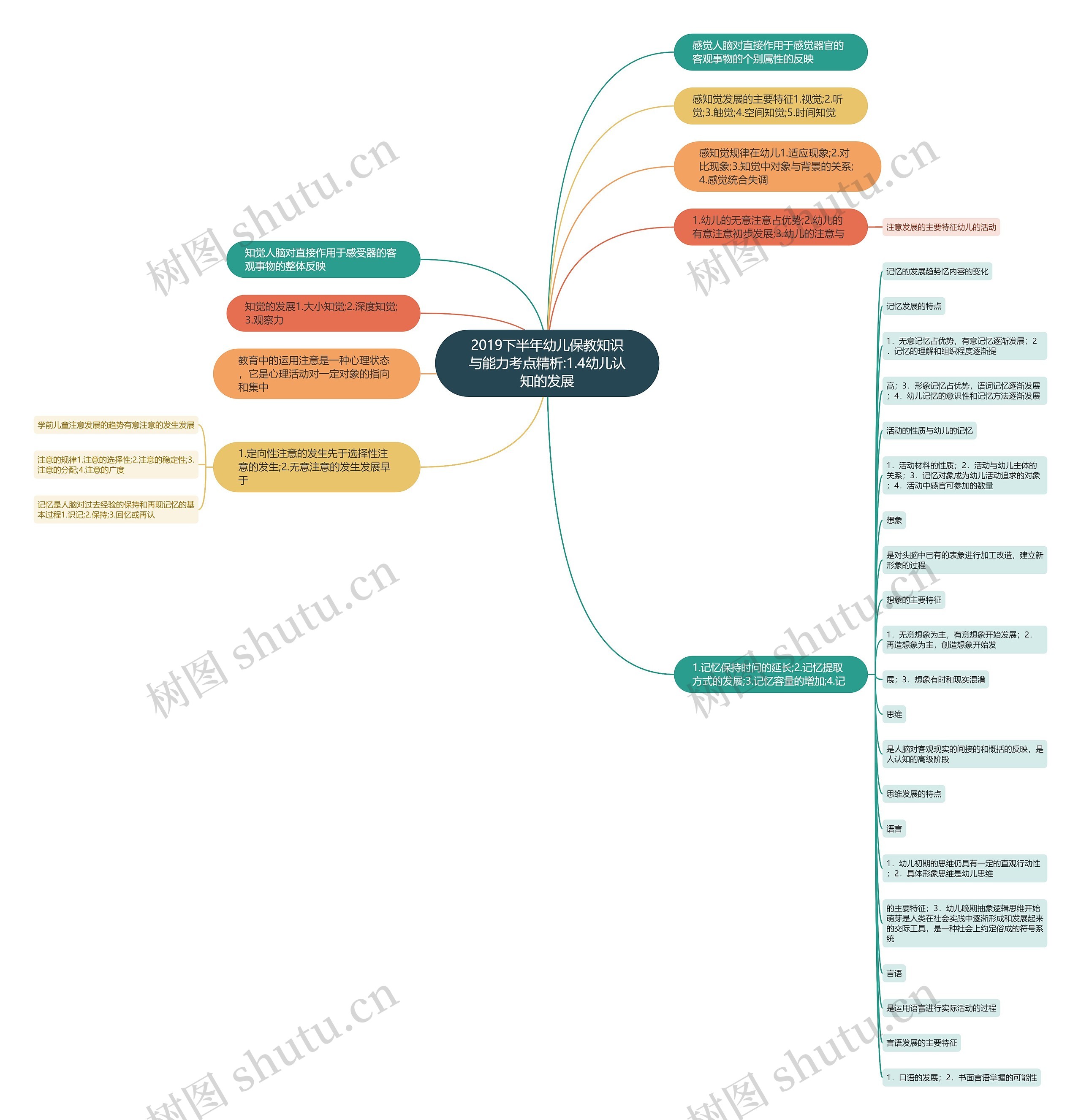 2019下半年幼儿保教知识与能力考点精析:1.4幼儿认知的发展思维导图