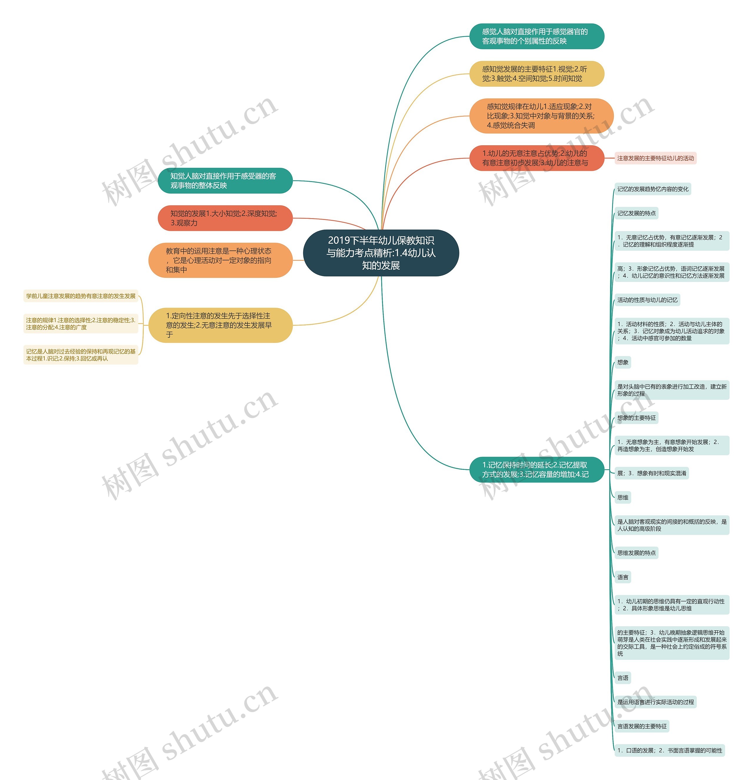 2019下半年幼儿保教知识与能力考点精析:1.4幼儿认知的发展 2019下半年幼儿保教知识与能力考点精析:1.4幼儿认知的发展