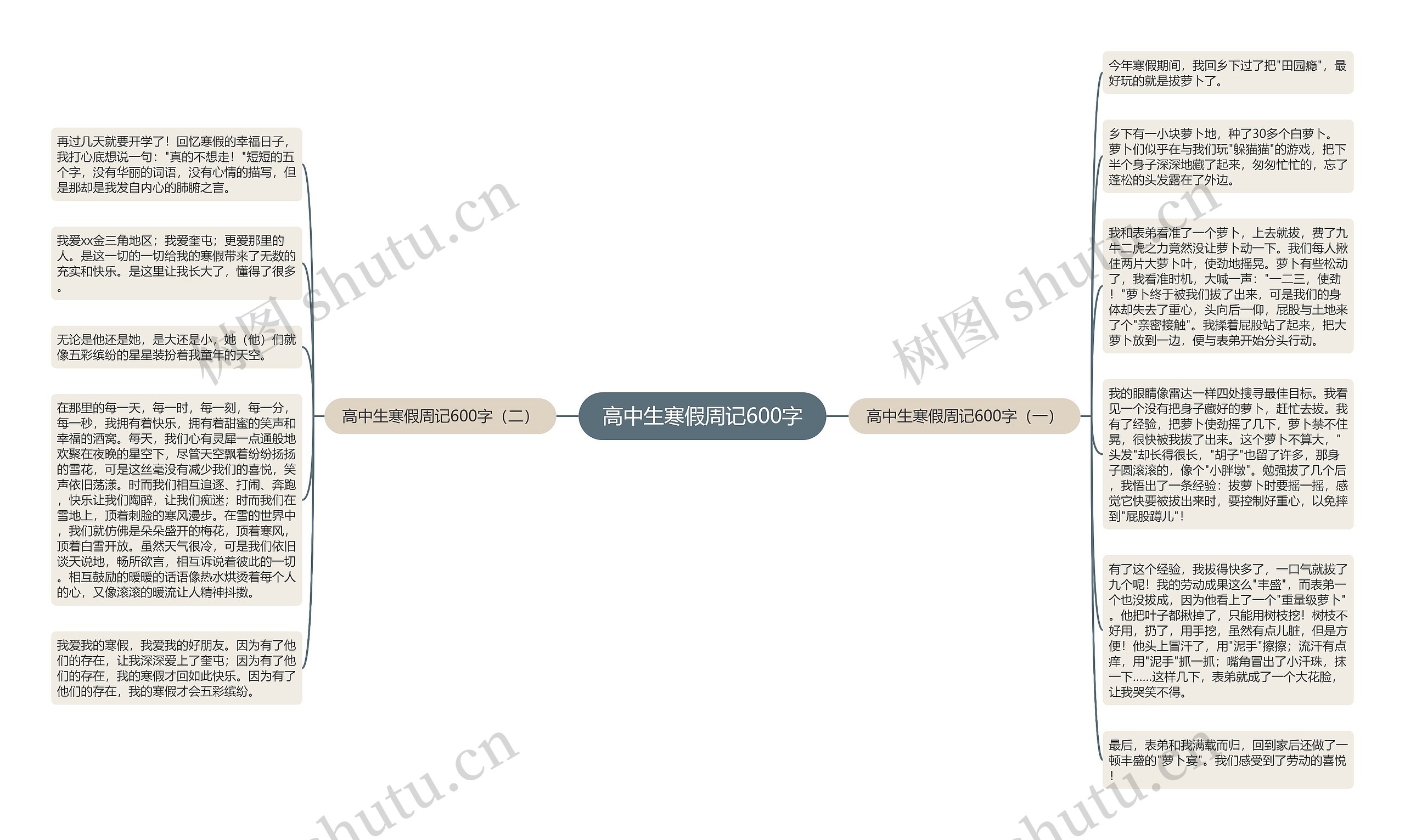 高中生寒假周记600字