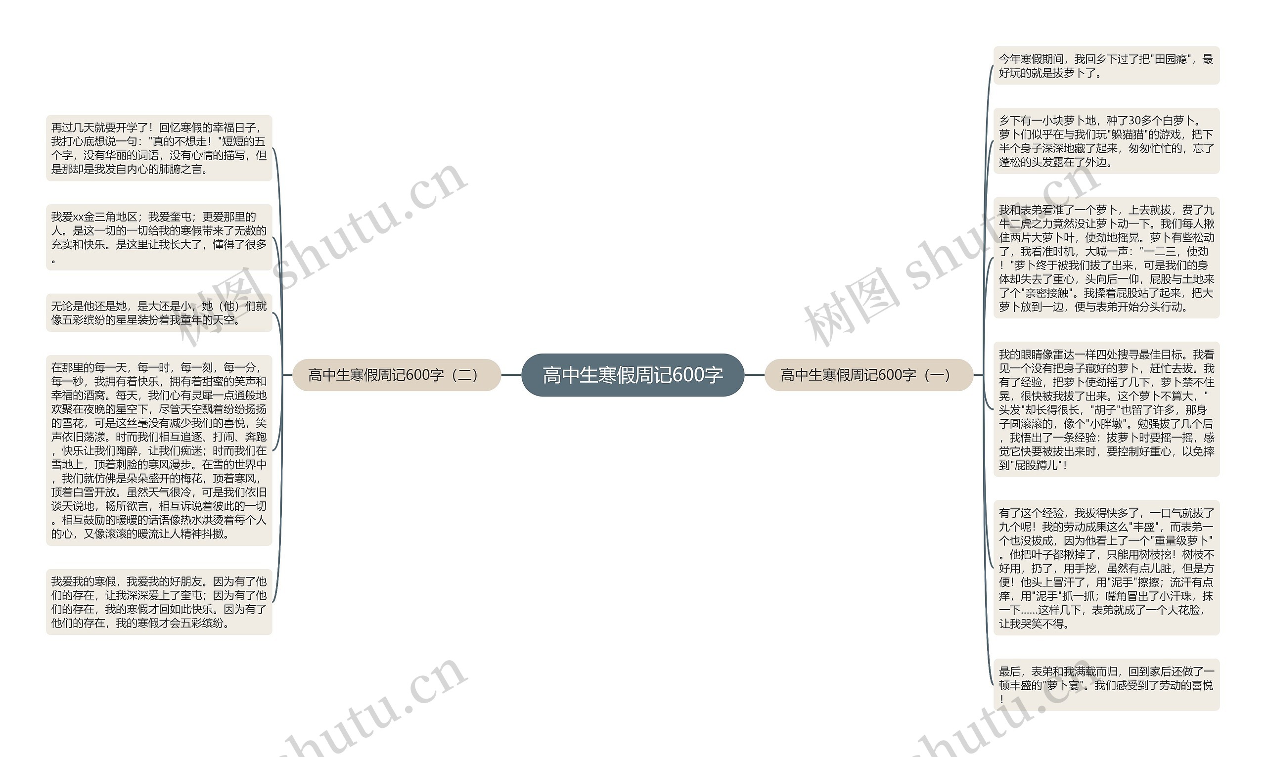 高中生寒假周记600字思维导图