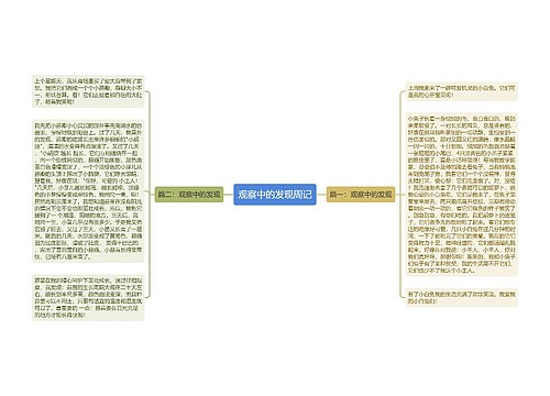 观察中的发现周记