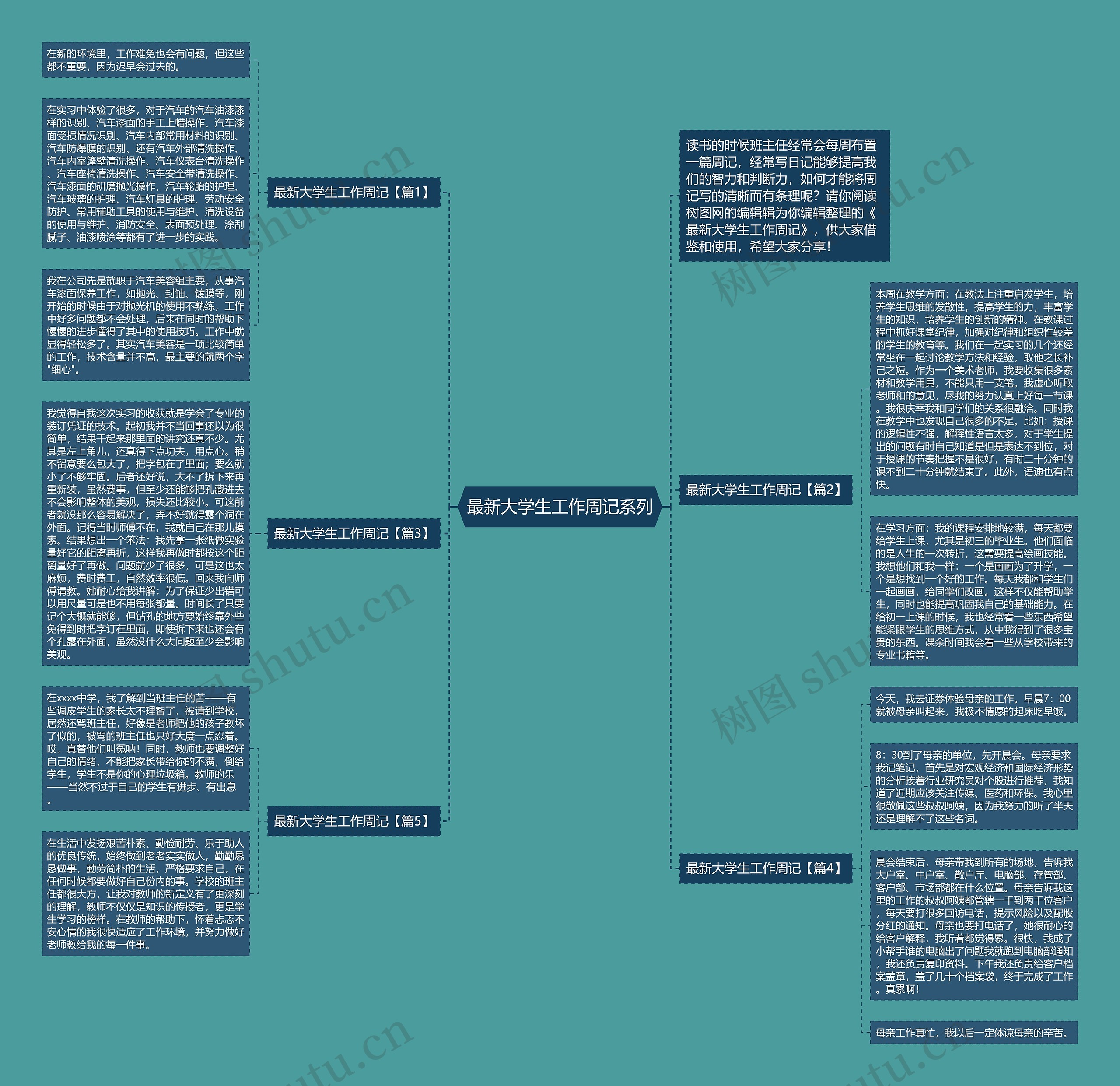 最新大学生工作周记系列思维导图