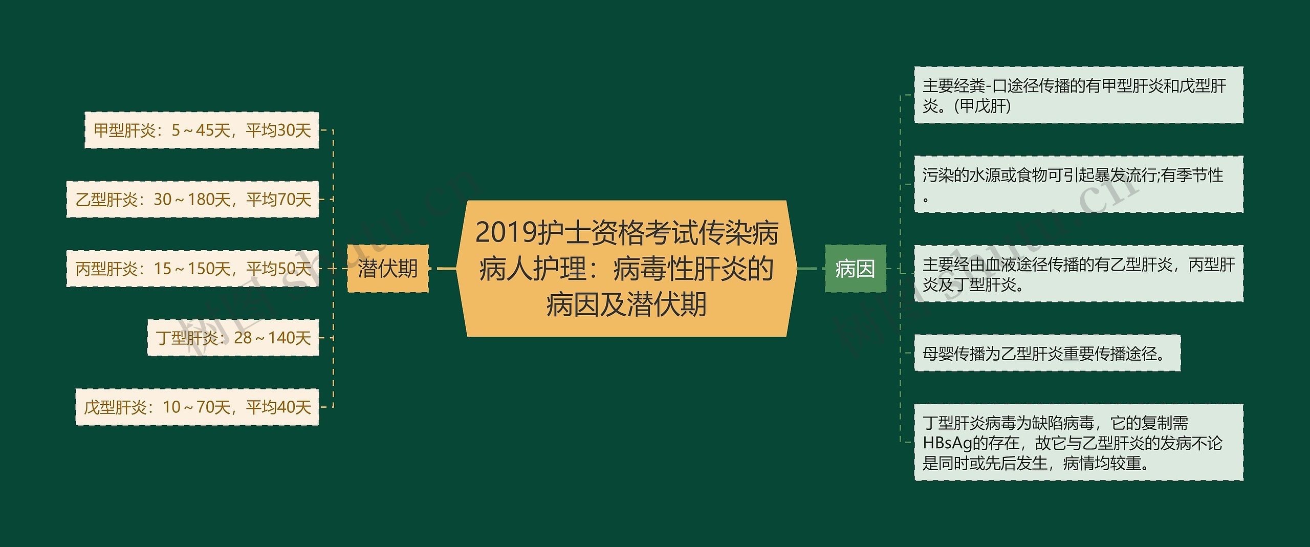 2019护士资格考试传染病病人护理：病毒性肝炎的病因及潜伏期