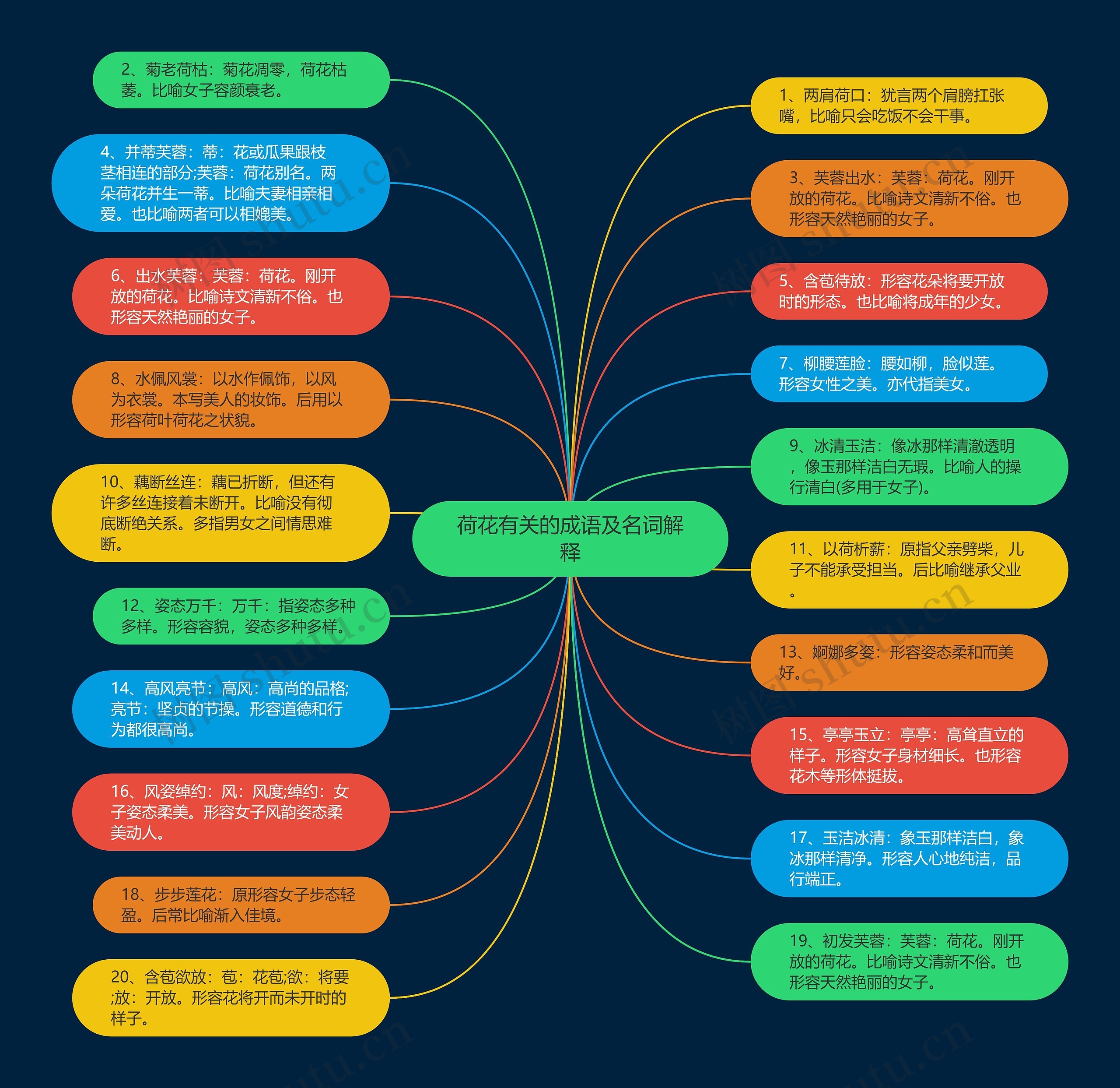 荷花有关的成语及名词解释思维导图