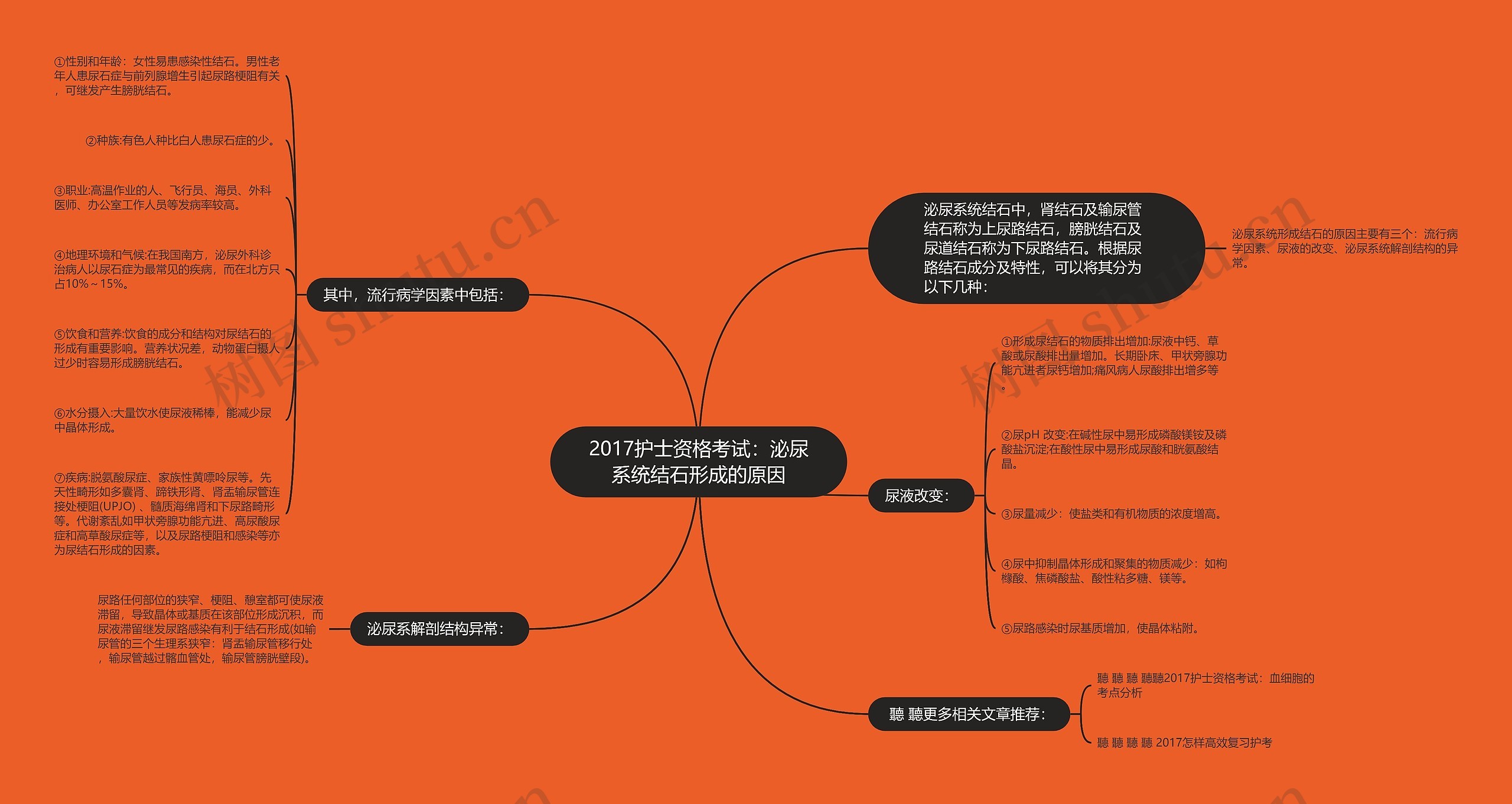 2017护士资格考试：泌尿系统结石形成的原因思维导图