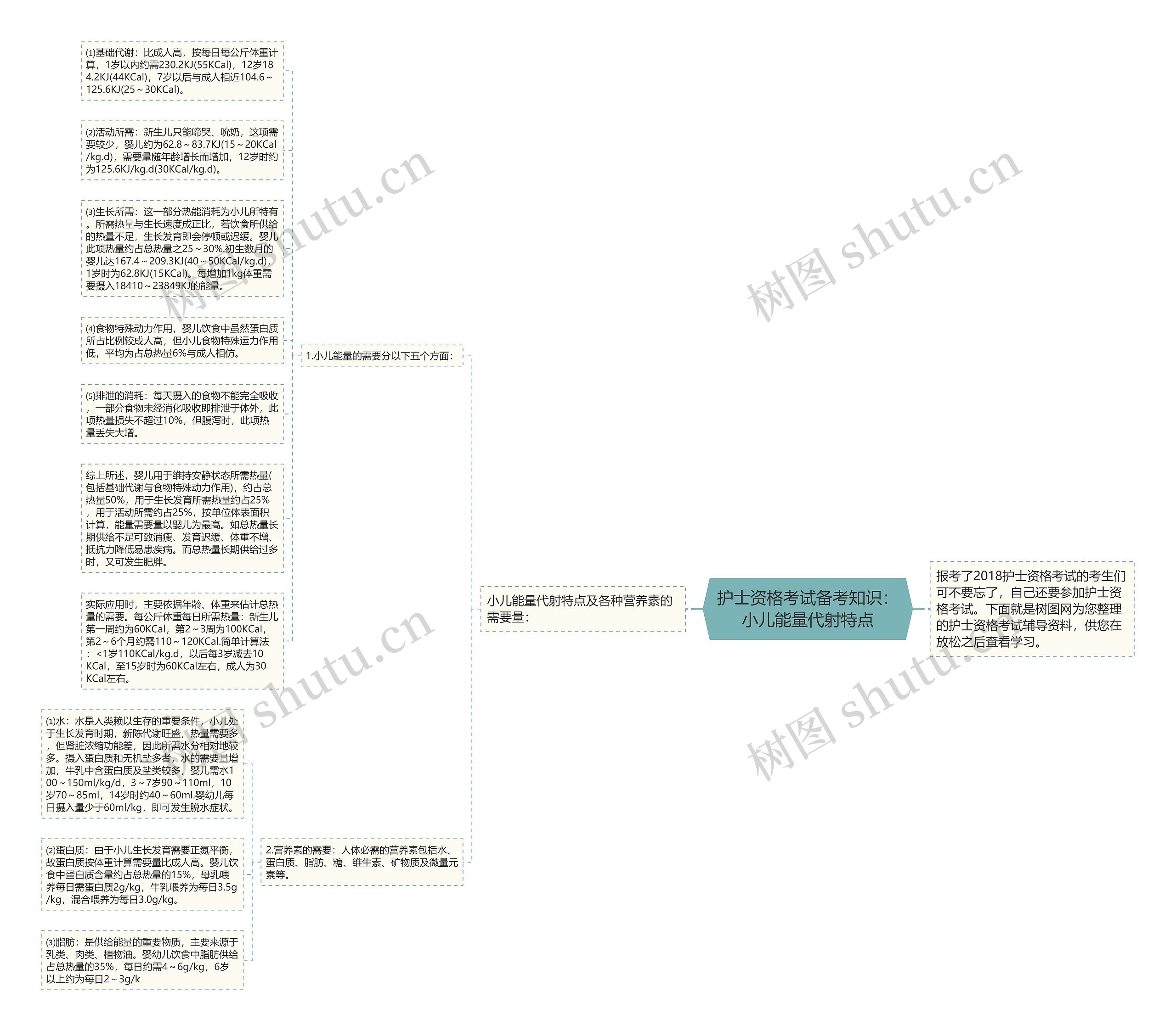 护士资格考试备考知识：小儿能量代射特点思维导图