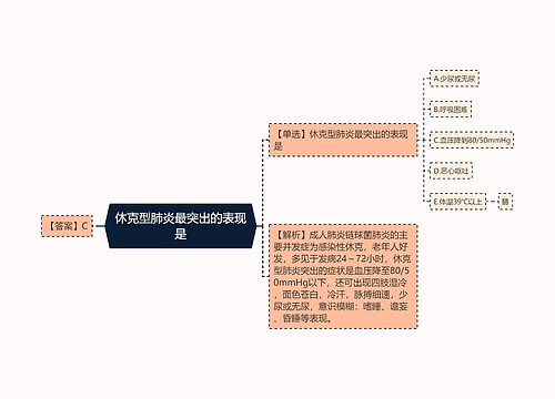 休克型肺炎最突出的表现是