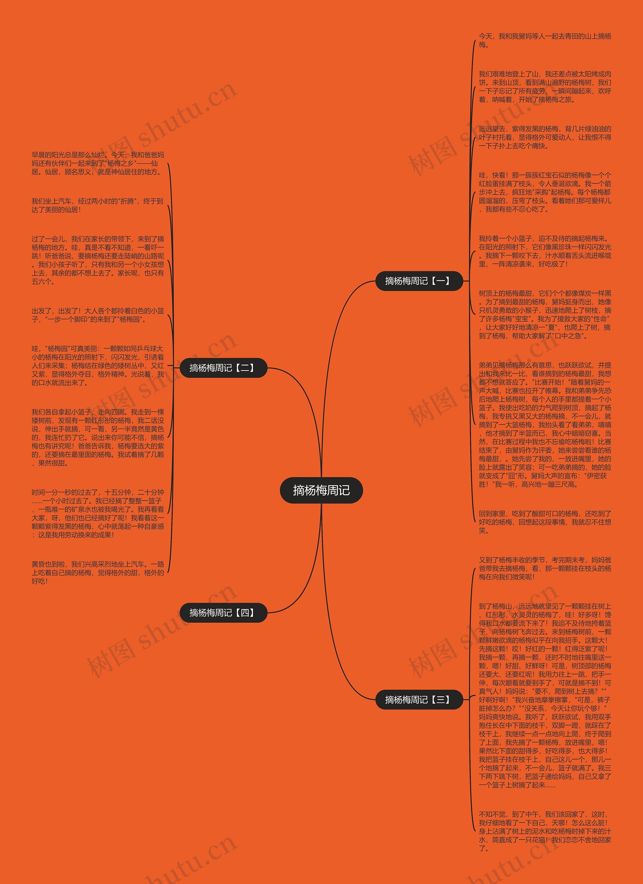 摘杨梅周记思维导图