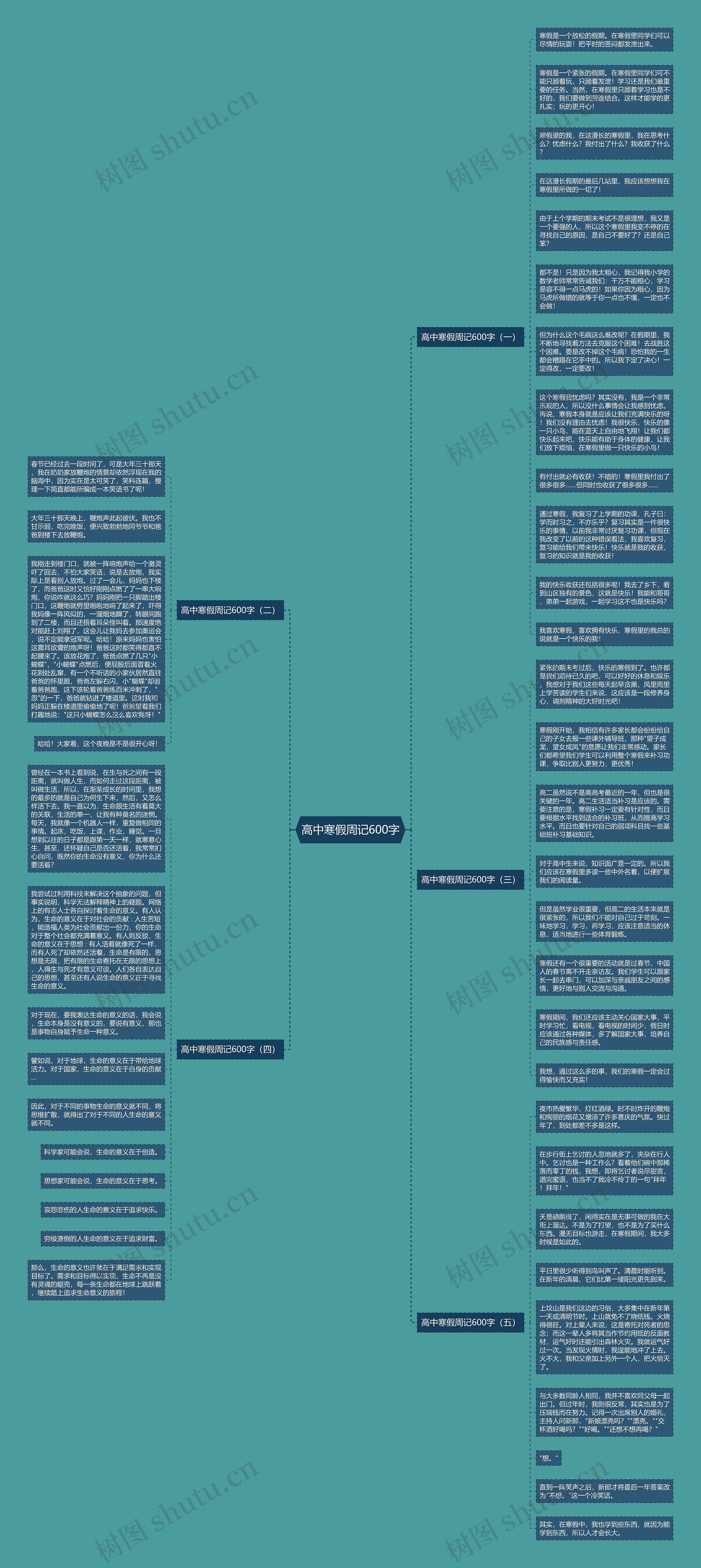 高中寒假周记600字思维导图