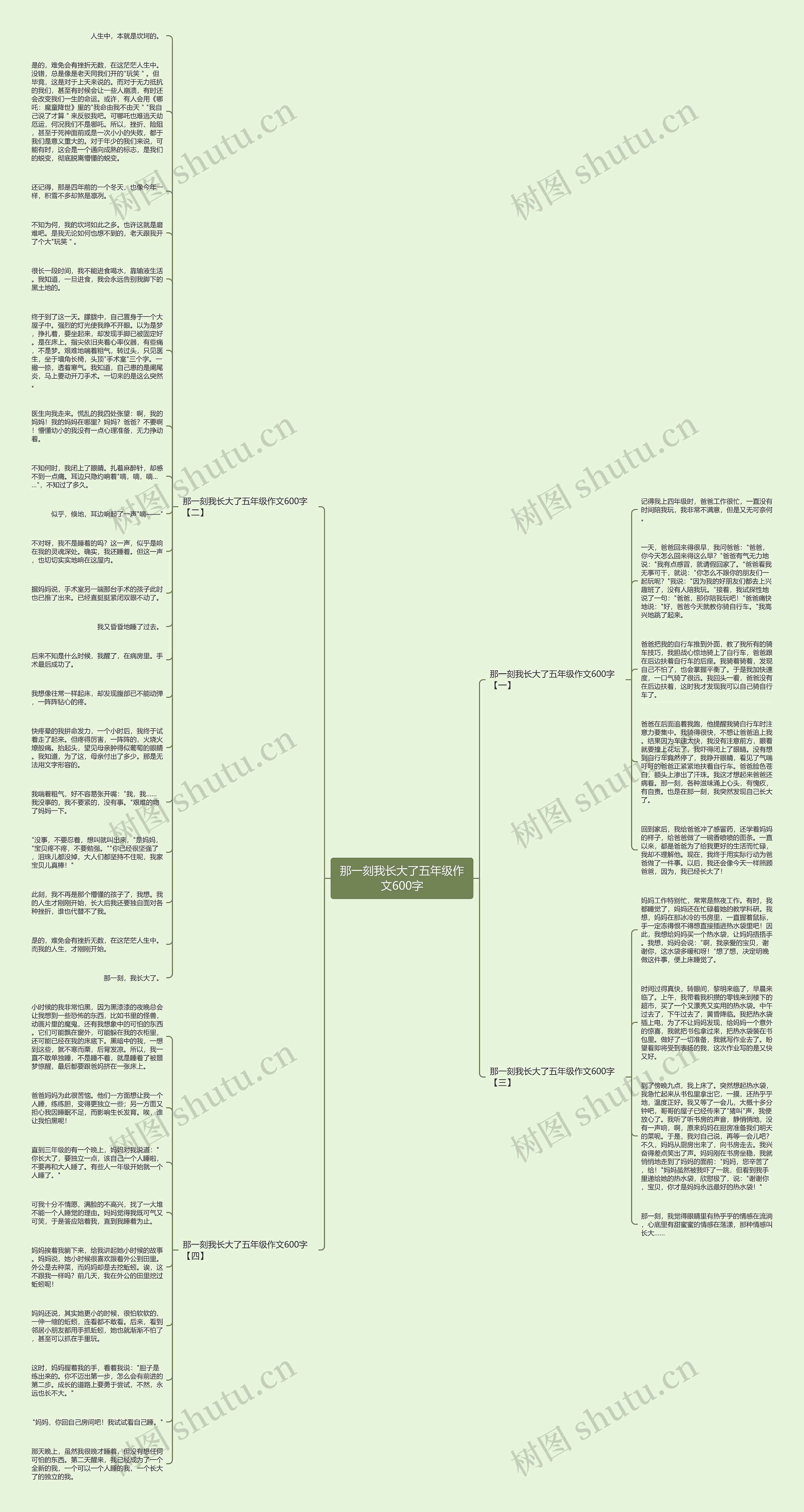 那一刻我长大了五年级作文600字思维导图