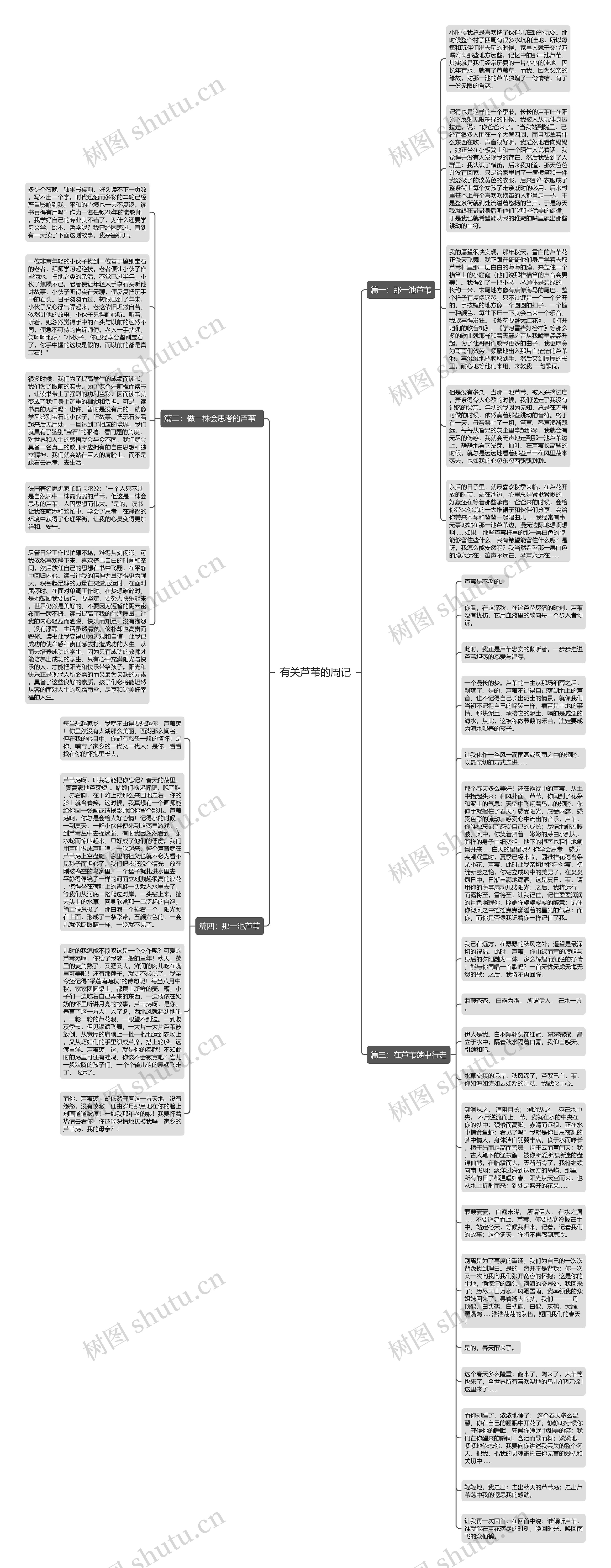 有关芦苇的周记思维导图