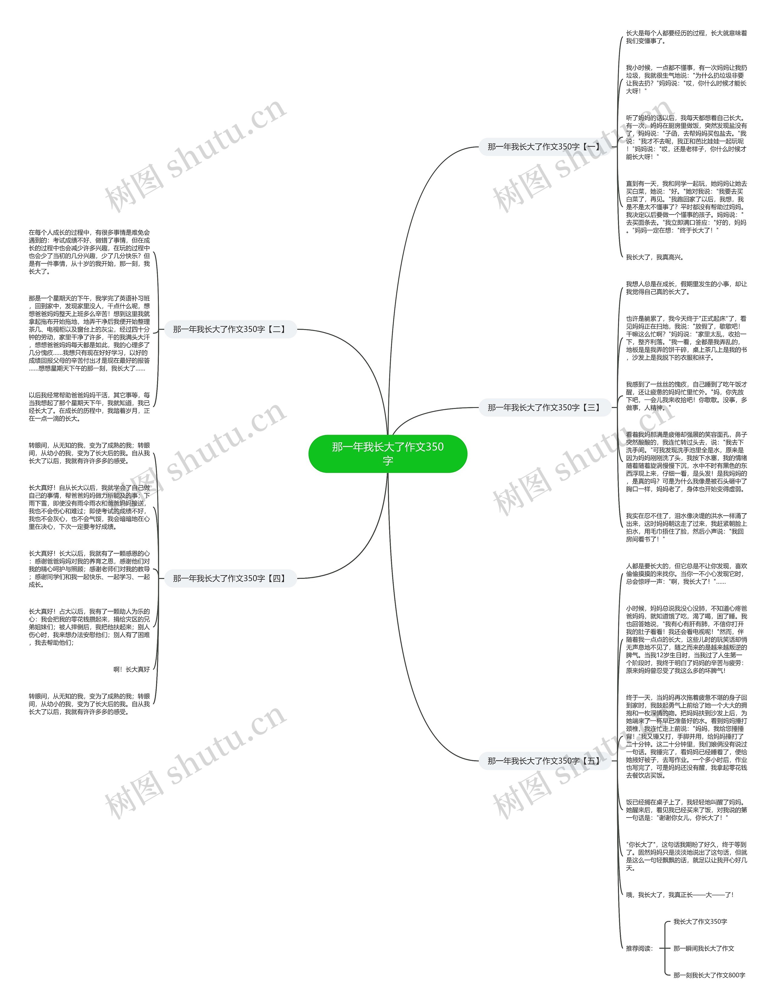 那一年我长大了作文350字思维导图