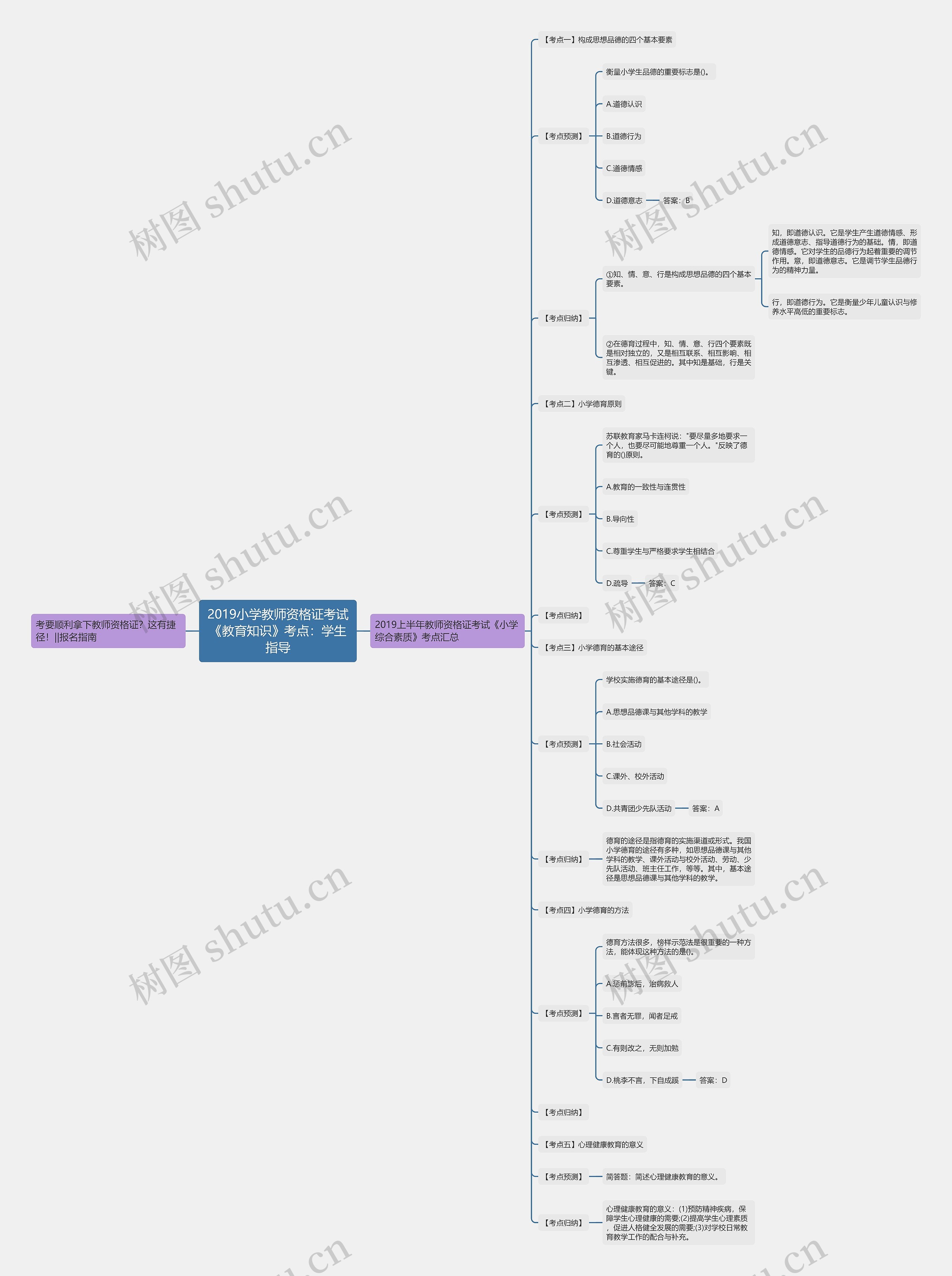 2019小学教师资格证考试《教育知识》考点：学生指导思维导图