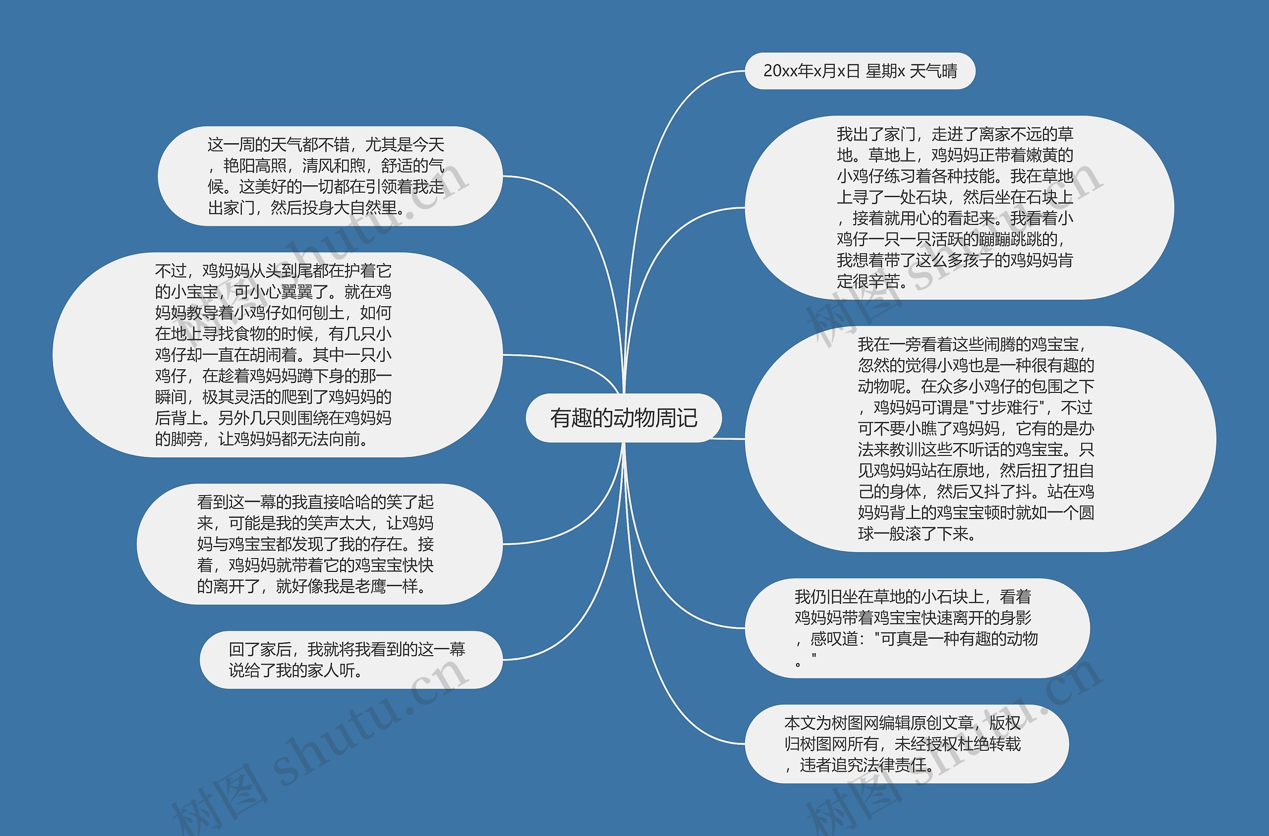 有趣的动物周记思维导图