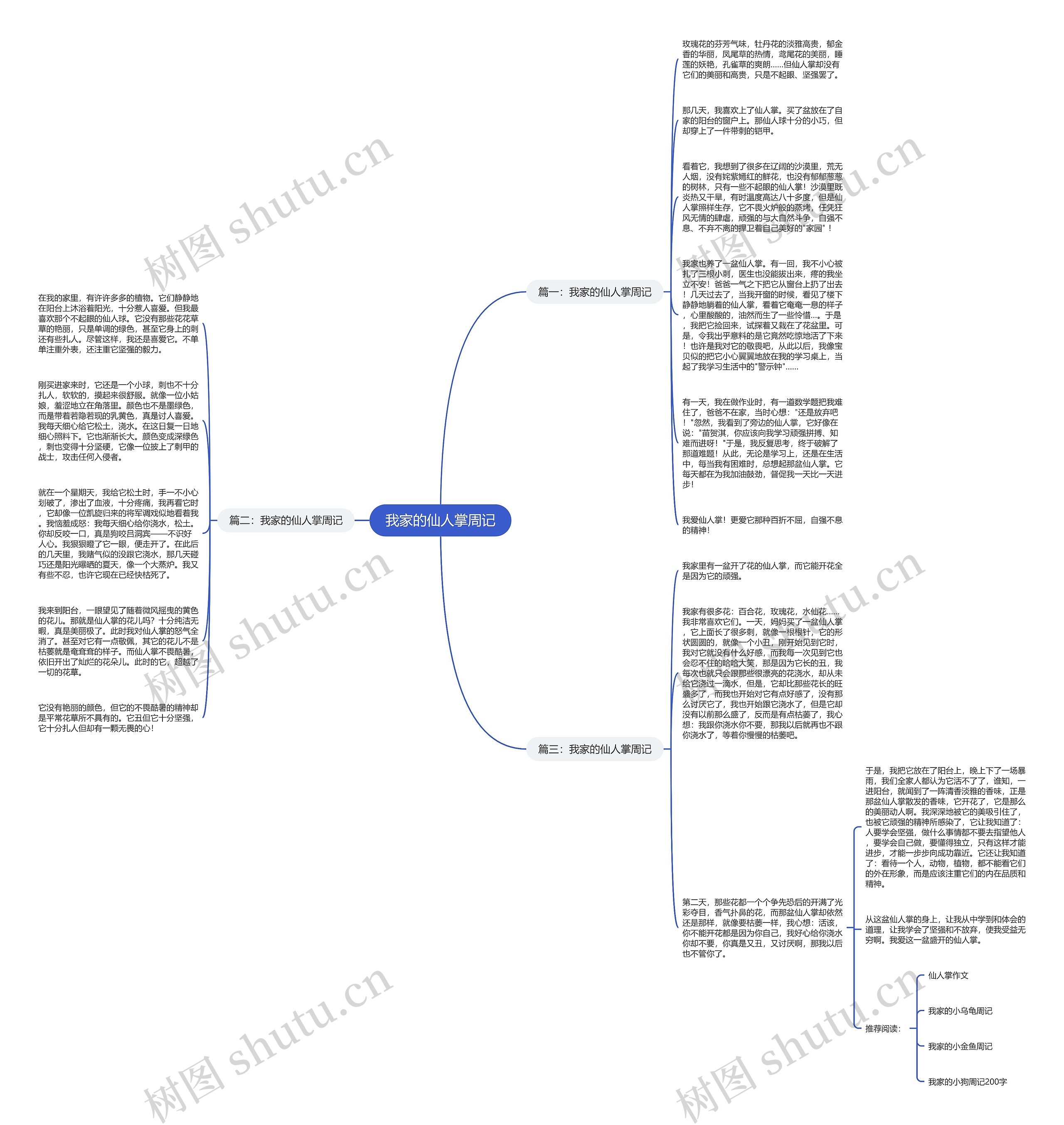我家的仙人掌周记思维导图