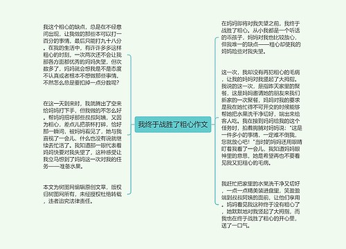 我终于战胜了粗心作文