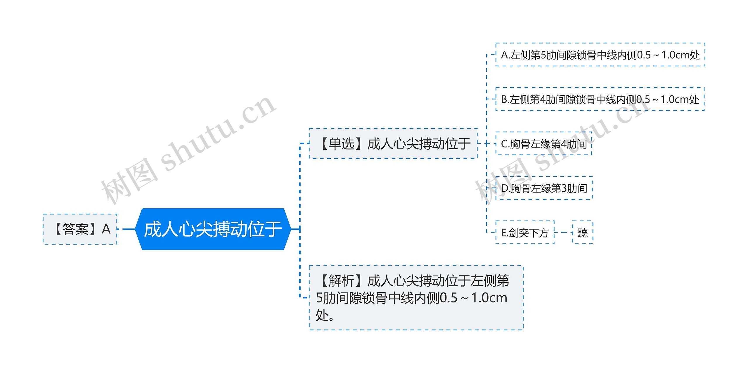 成人心尖搏动位于思维导图