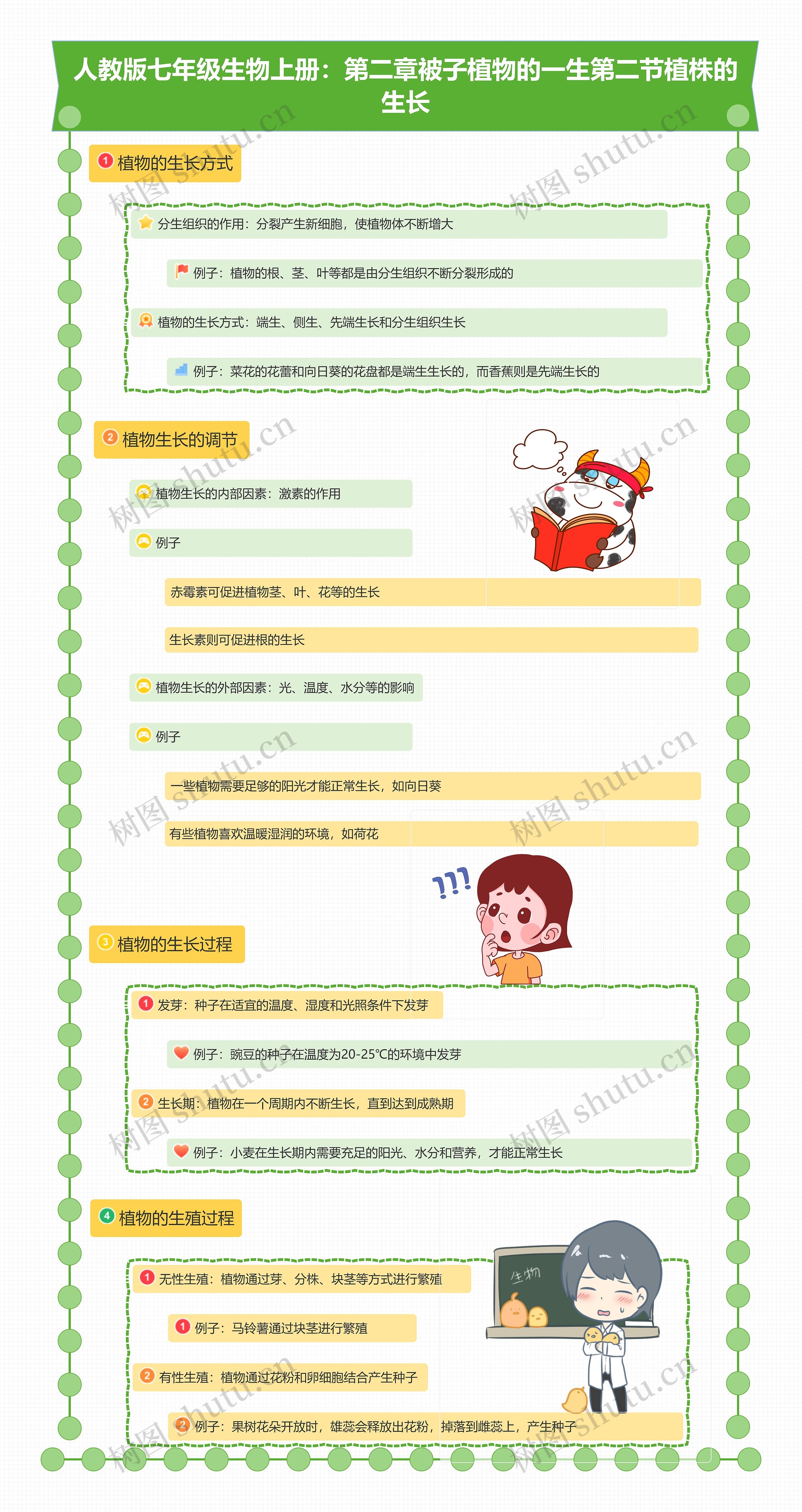 人教版七年级生物上册：第二章被子植物的一生第二节植株的生长