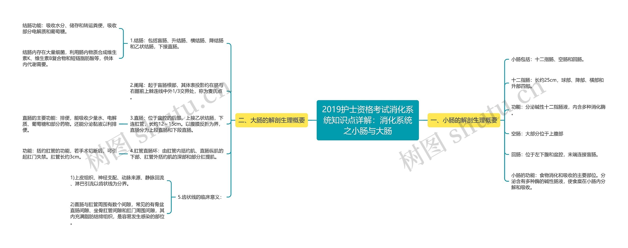 2019护士资格考试消化系统知识点详解：消化系统之小肠与大肠思维导图