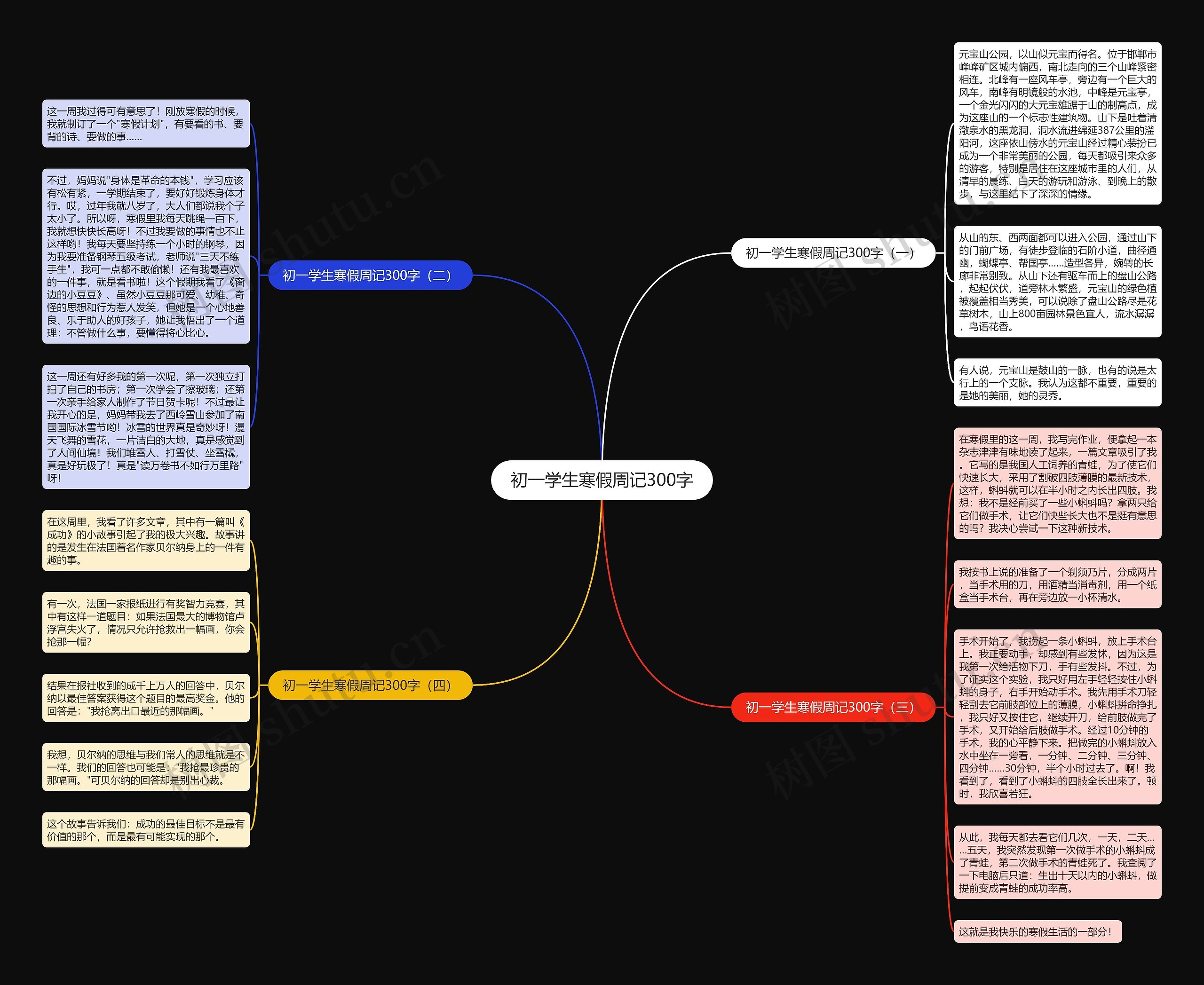 初一学生寒假周记300字思维导图