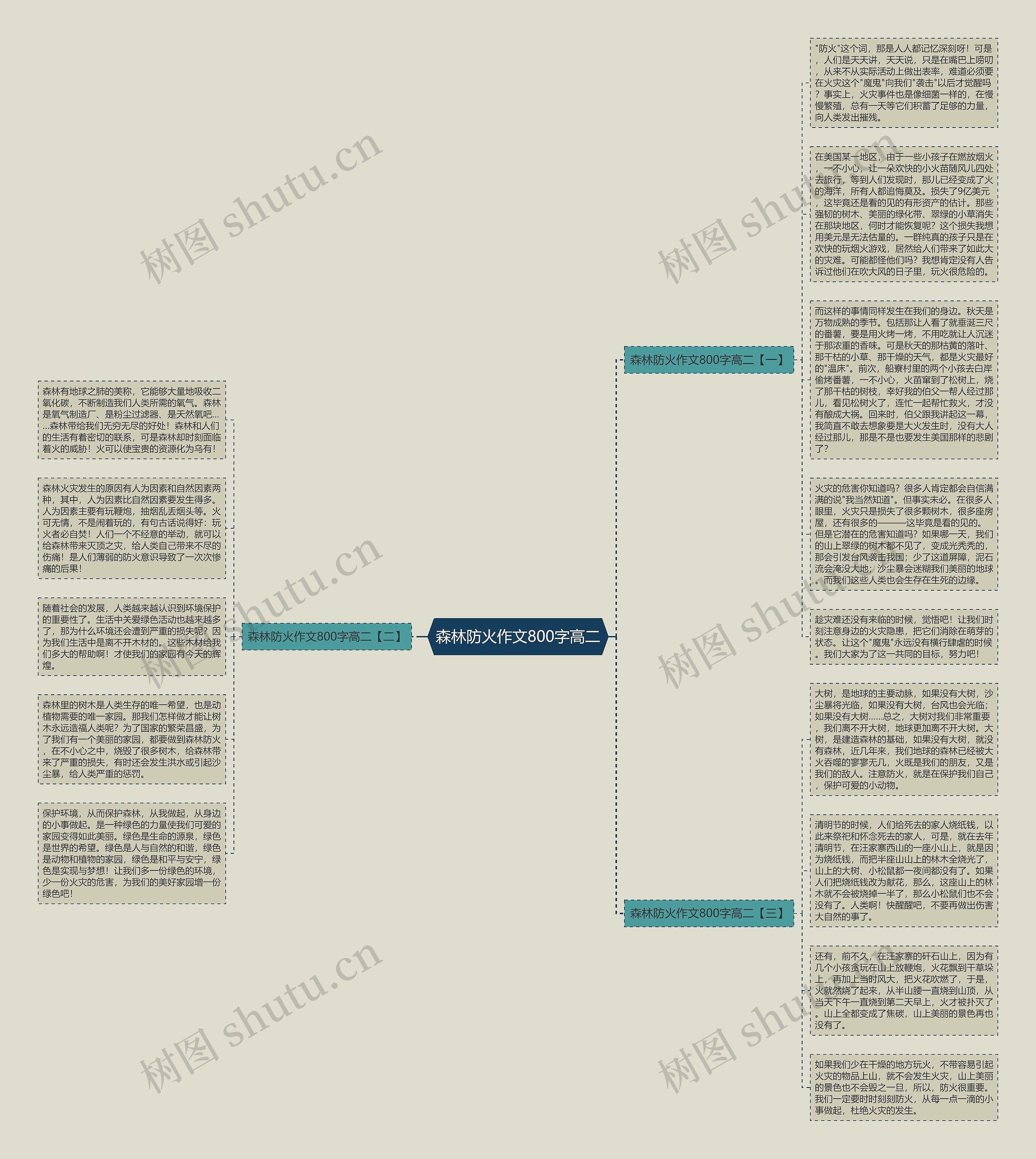 森林防火作文800字高二思维导图