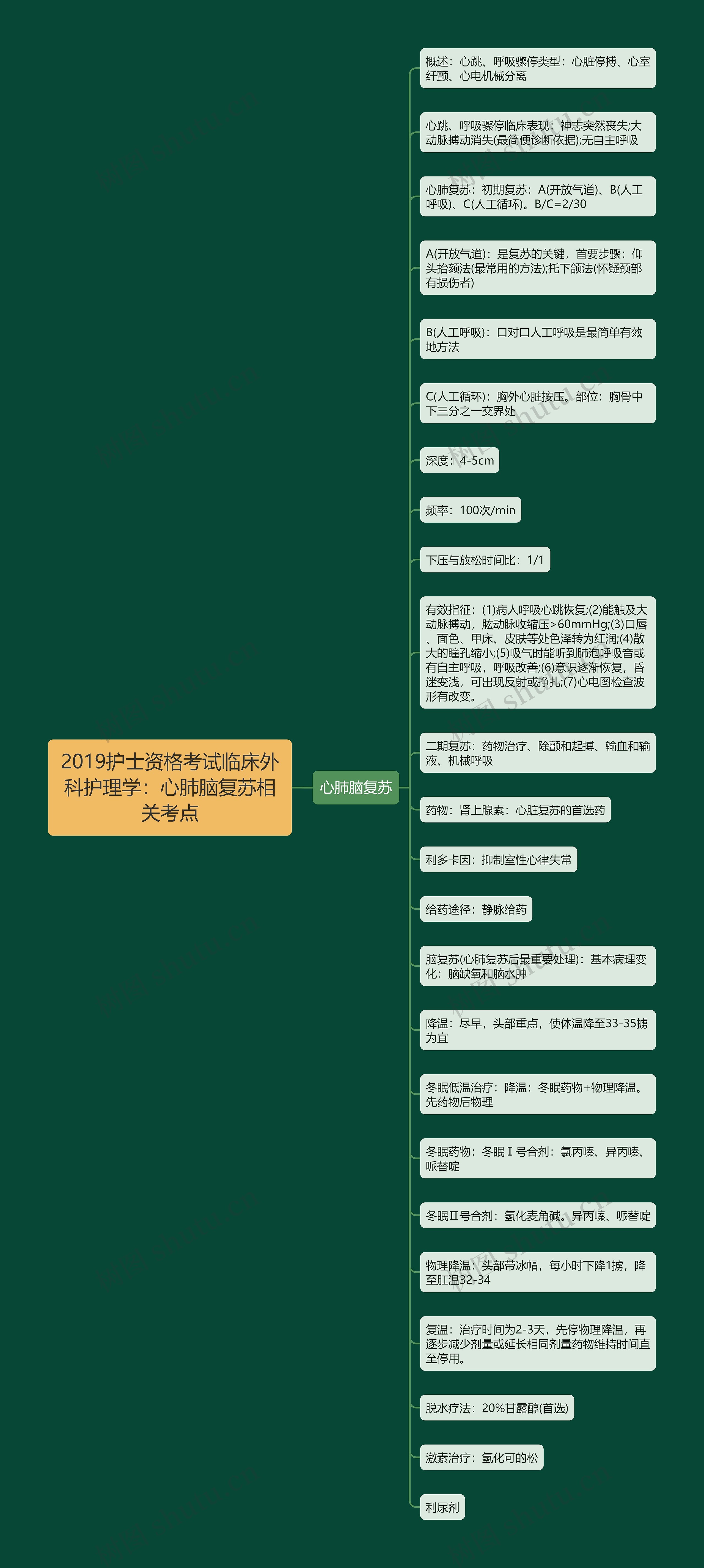 2019护士资格考试临床外科护理学:心肺脑复苏相关考点 2019护士资格考试临床外科护理学:心肺脑复苏相关考点