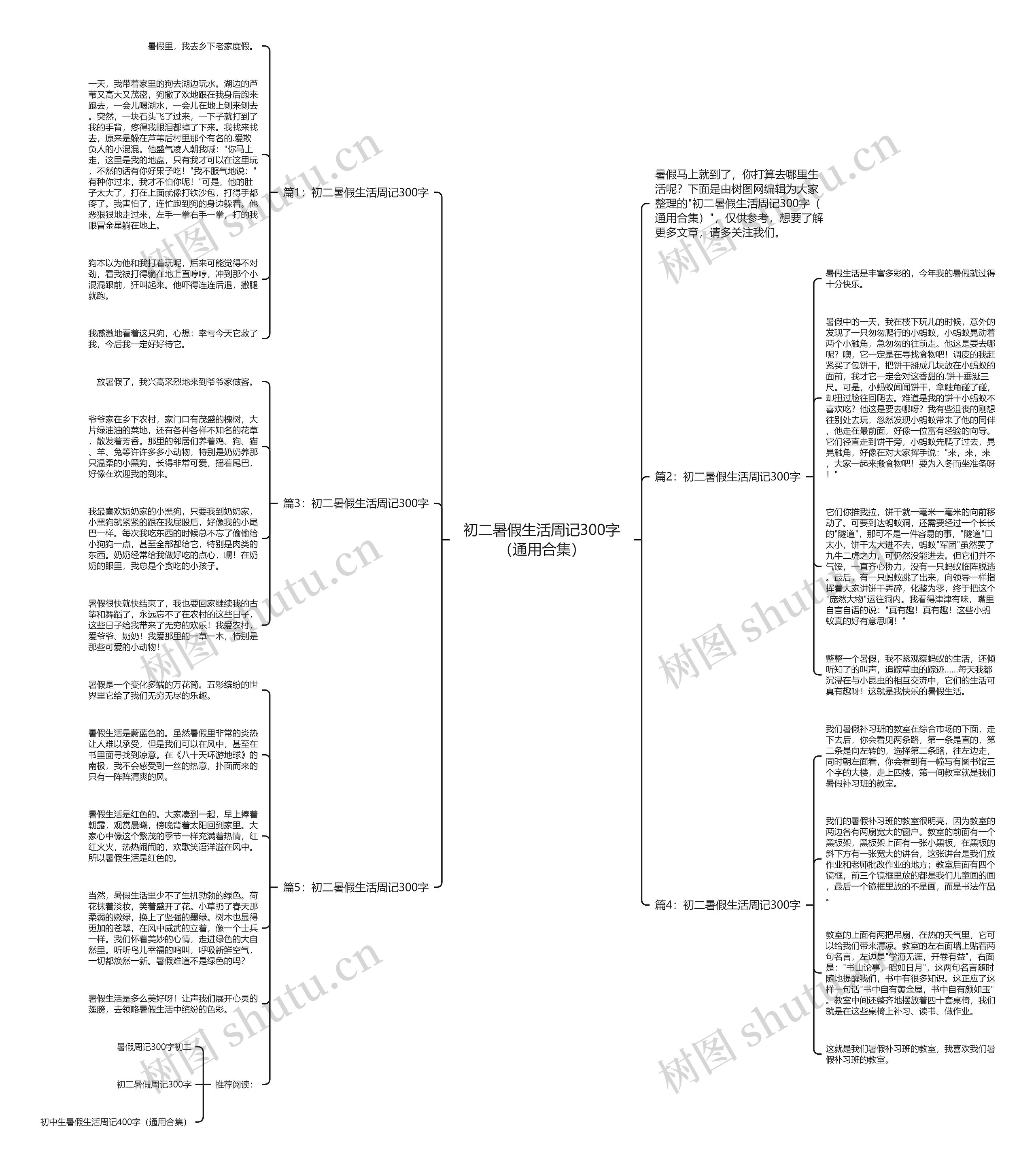 初二暑假生活周记300字（通用合集）思维导图