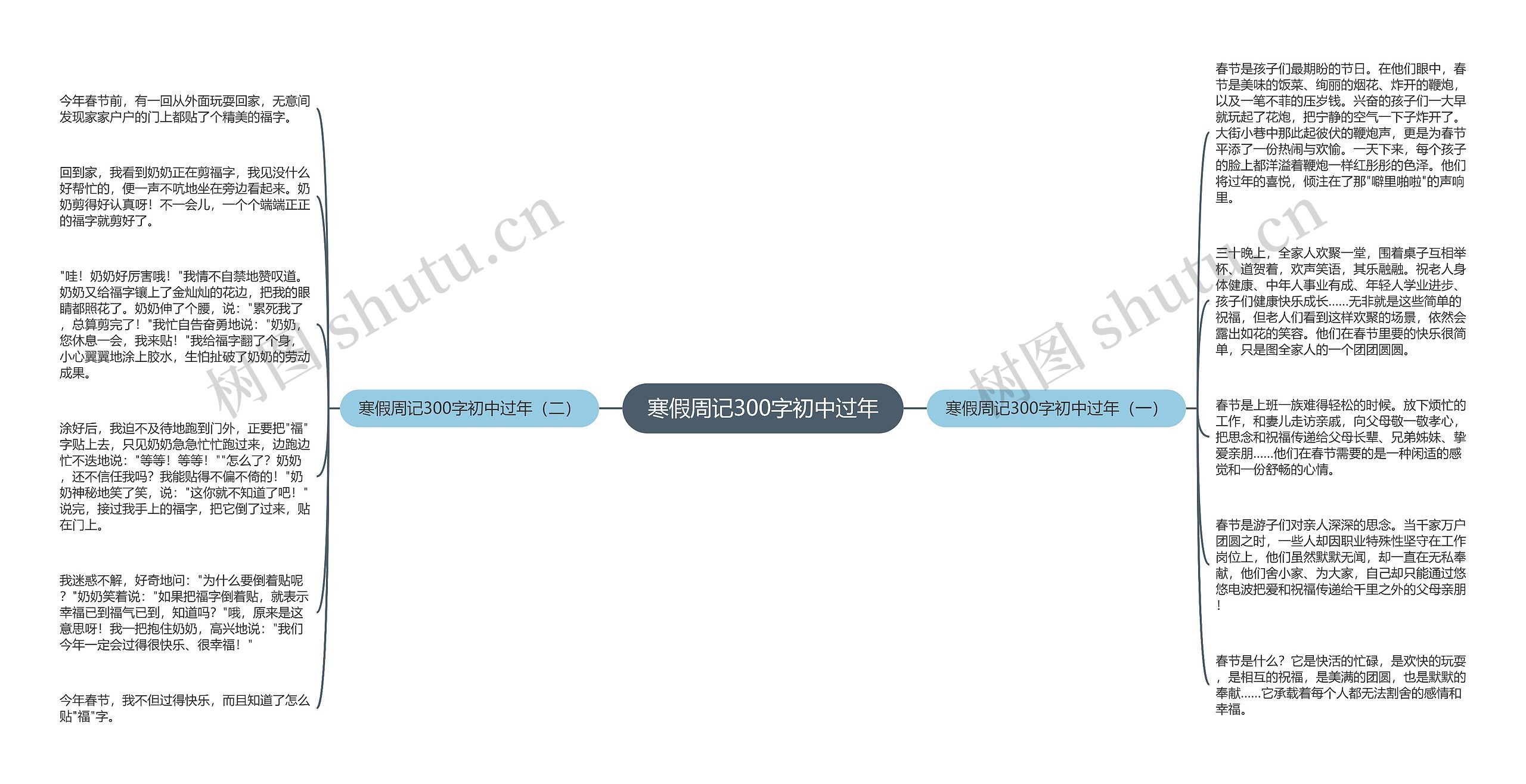 寒假周记300字初中过年思维导图