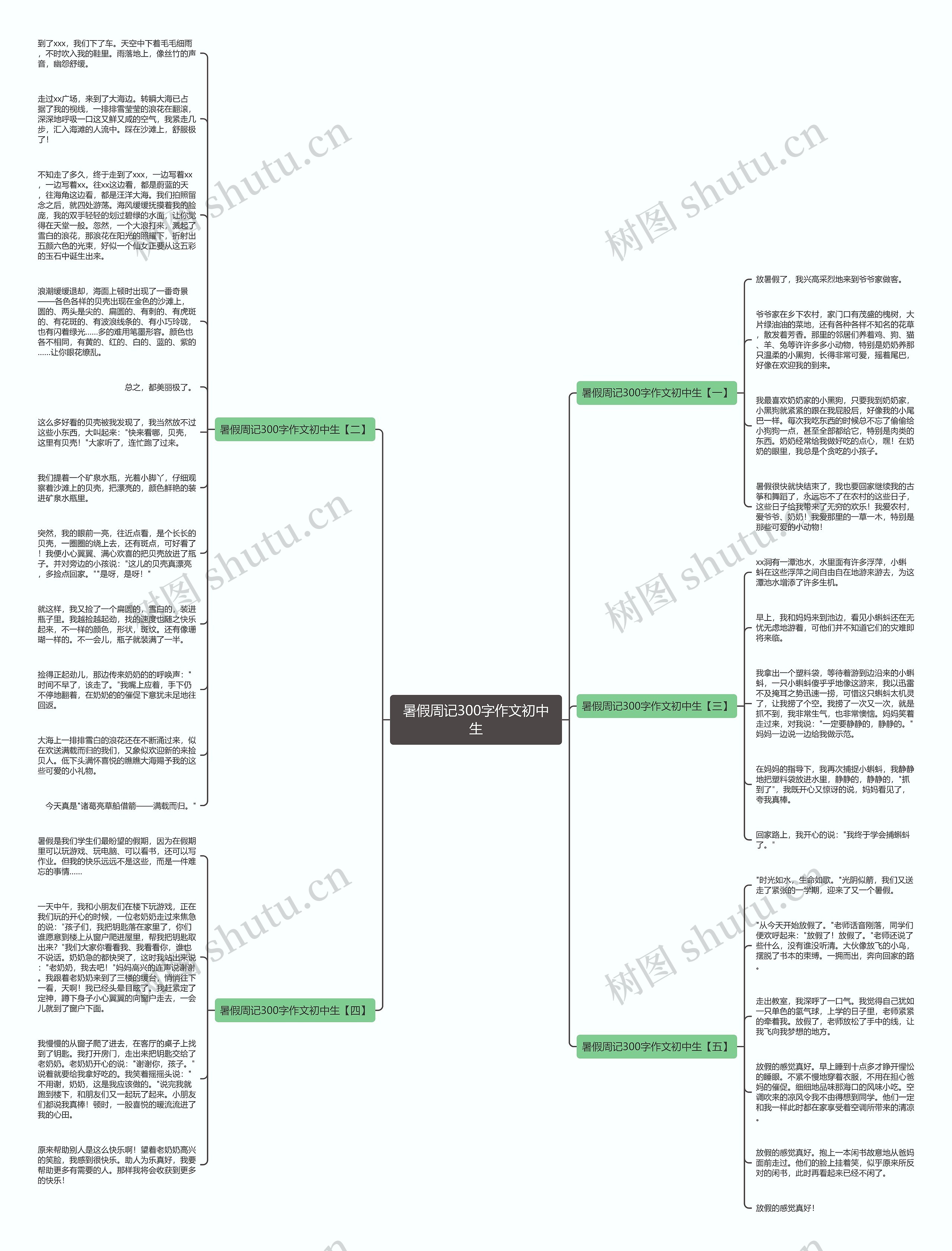 暑假周记300字作文初中生思维导图