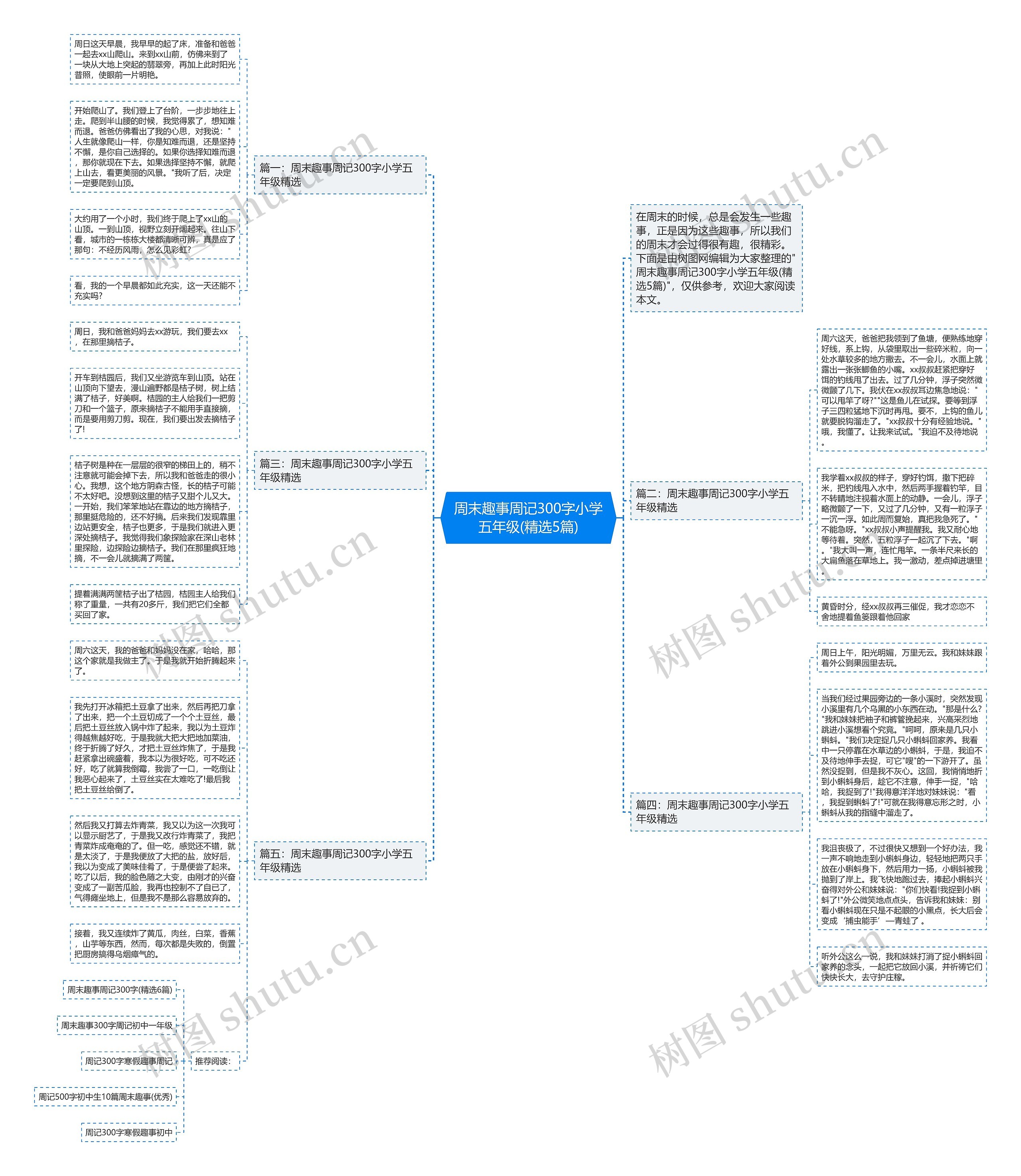 周末趣事周记300字小学五年级(精选5篇)思维导图