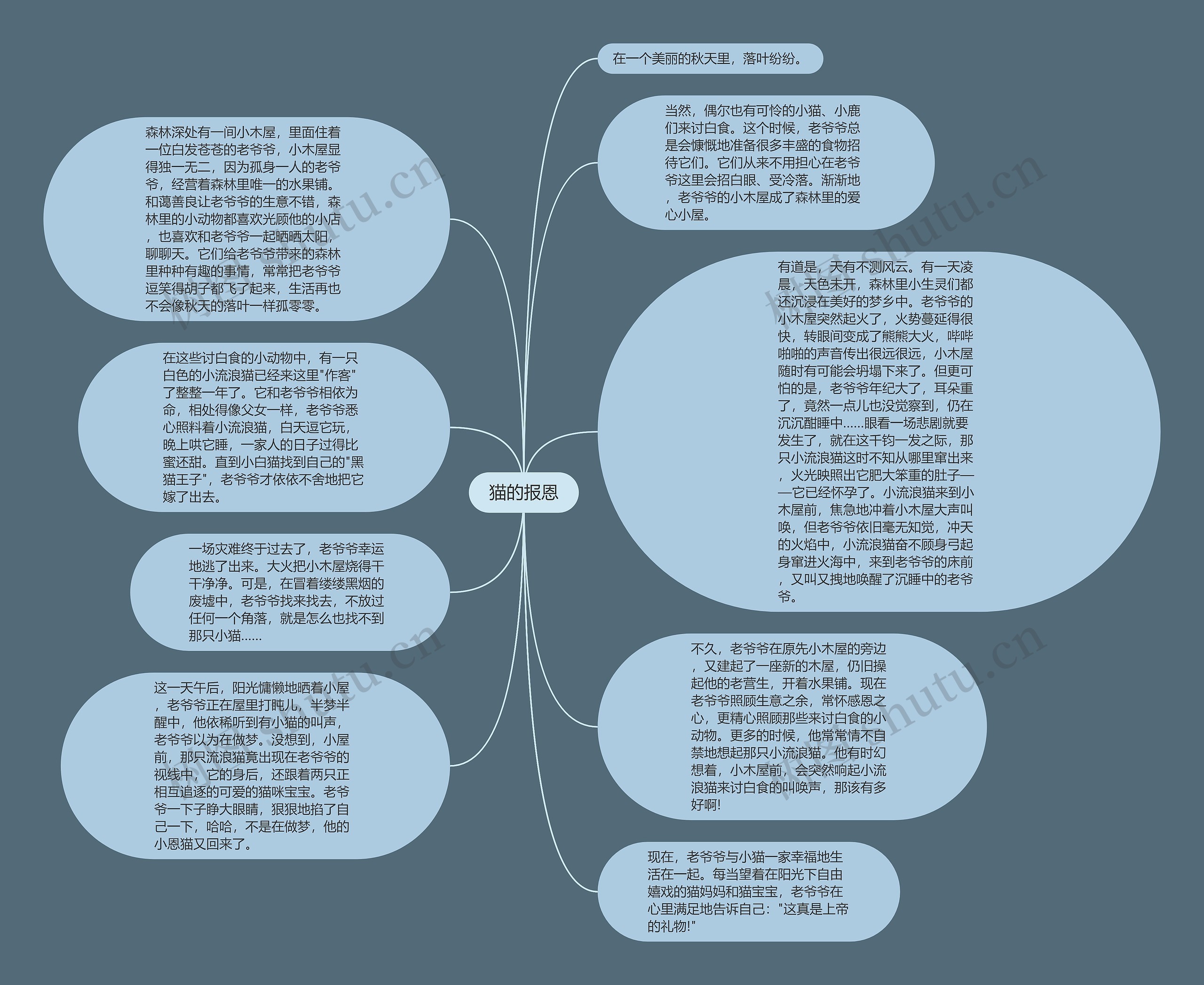 猫的报恩思维导图