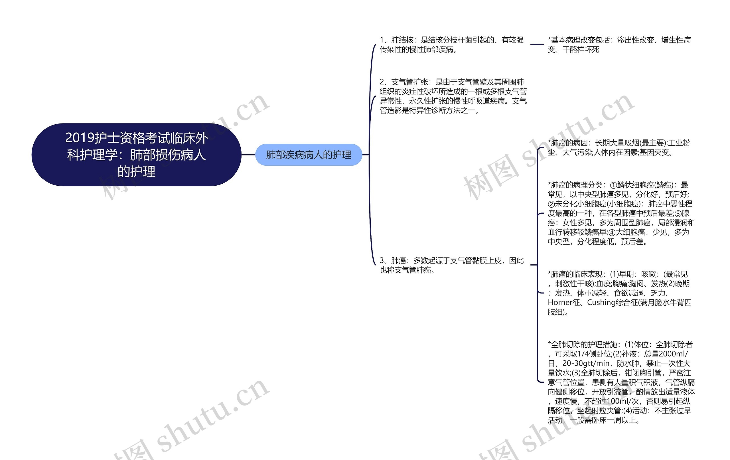 2019护士资格考试临床外科护理学：肺部损伤病人的护理思维导图