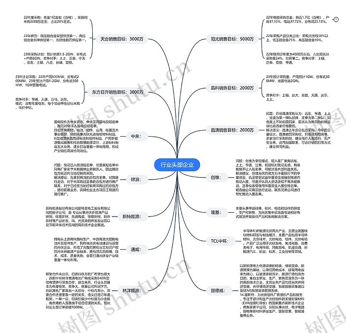 行业头部企业思维导图_编号c1723298-TreeMind树图