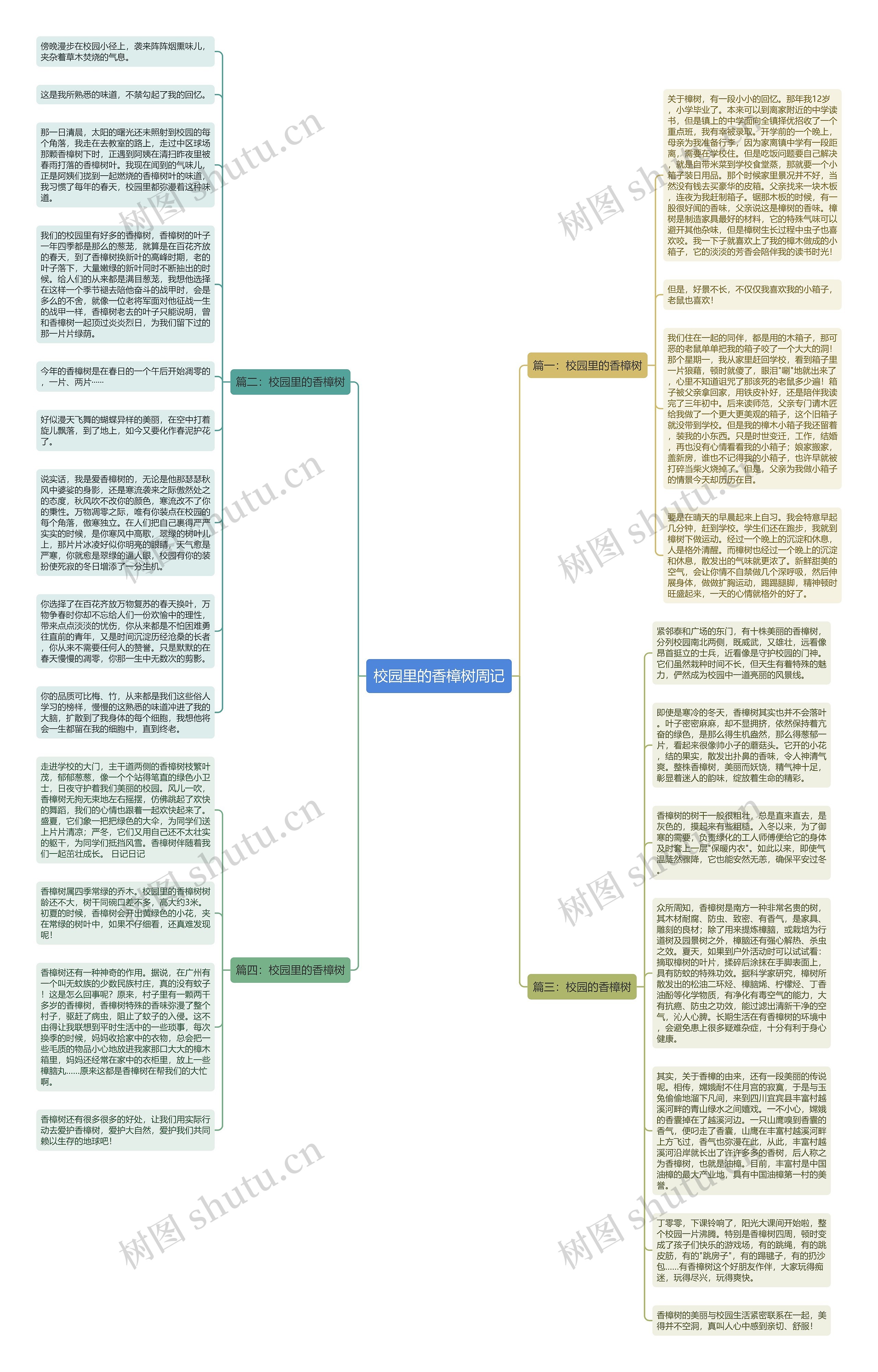 校园里的香樟树周记思维导图